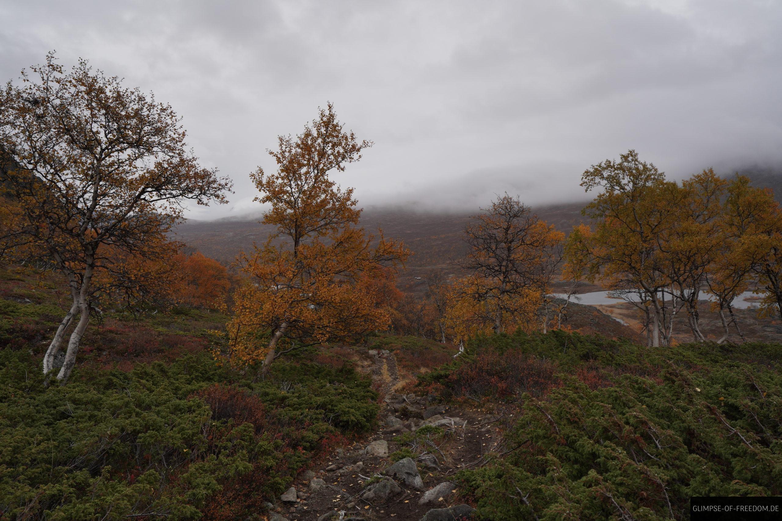 Pfad auf den Gjendehoe scaled Pfad auf den Gjendehoe