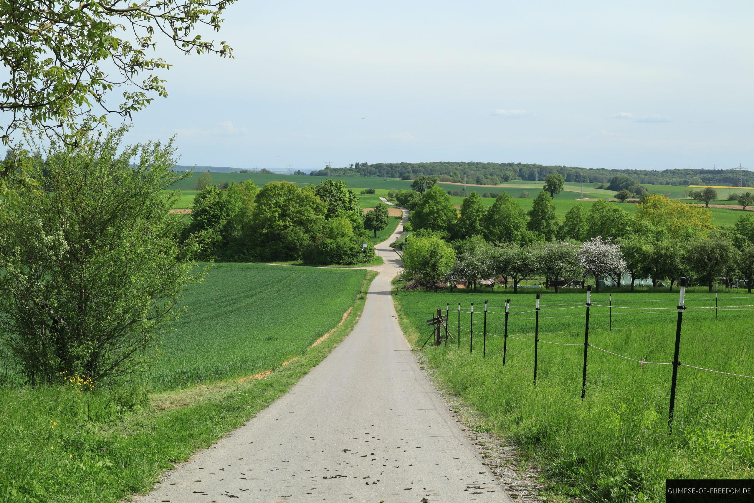 Pferdekoppeln am Gauangelloch Hoehenweg scaled Pferdekoppeln am Gauangelloch Höhenweg
