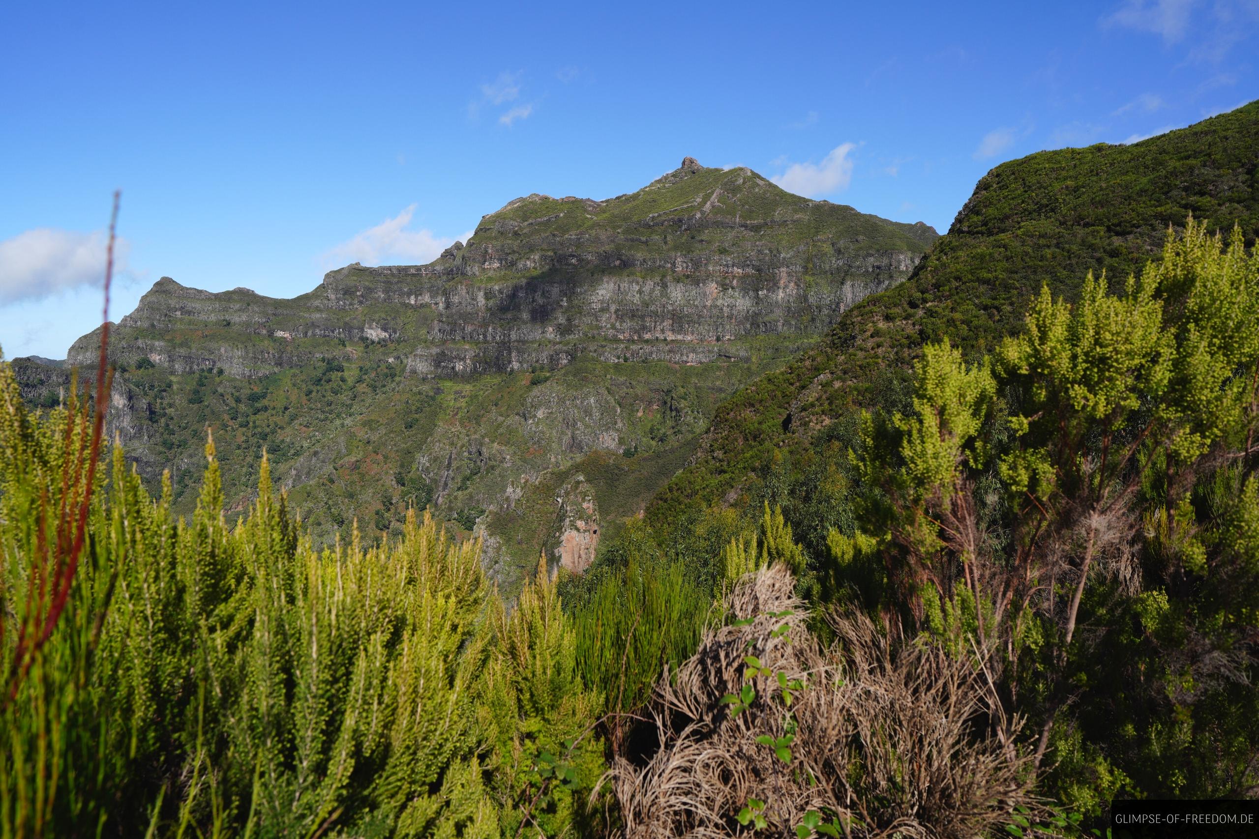 Pflanzen im Vordergrund Pico Grande im Hintergrund Pflanzen im Vordergrund - Pico Grande im Hintergrund