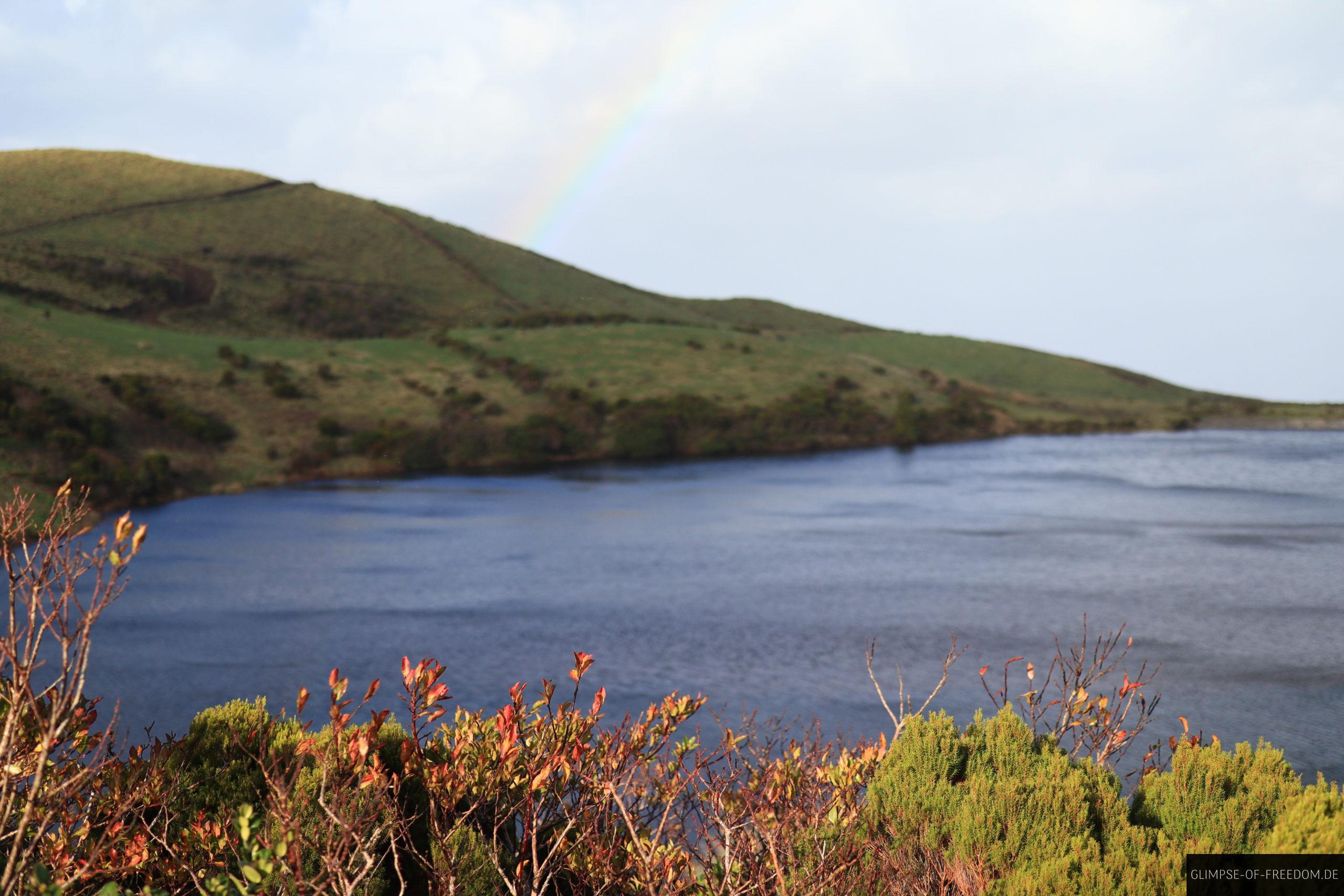Pflanzenwelt am Lagoa do Caiado scaled Pflanzenwelt am Lagoa do Caiado