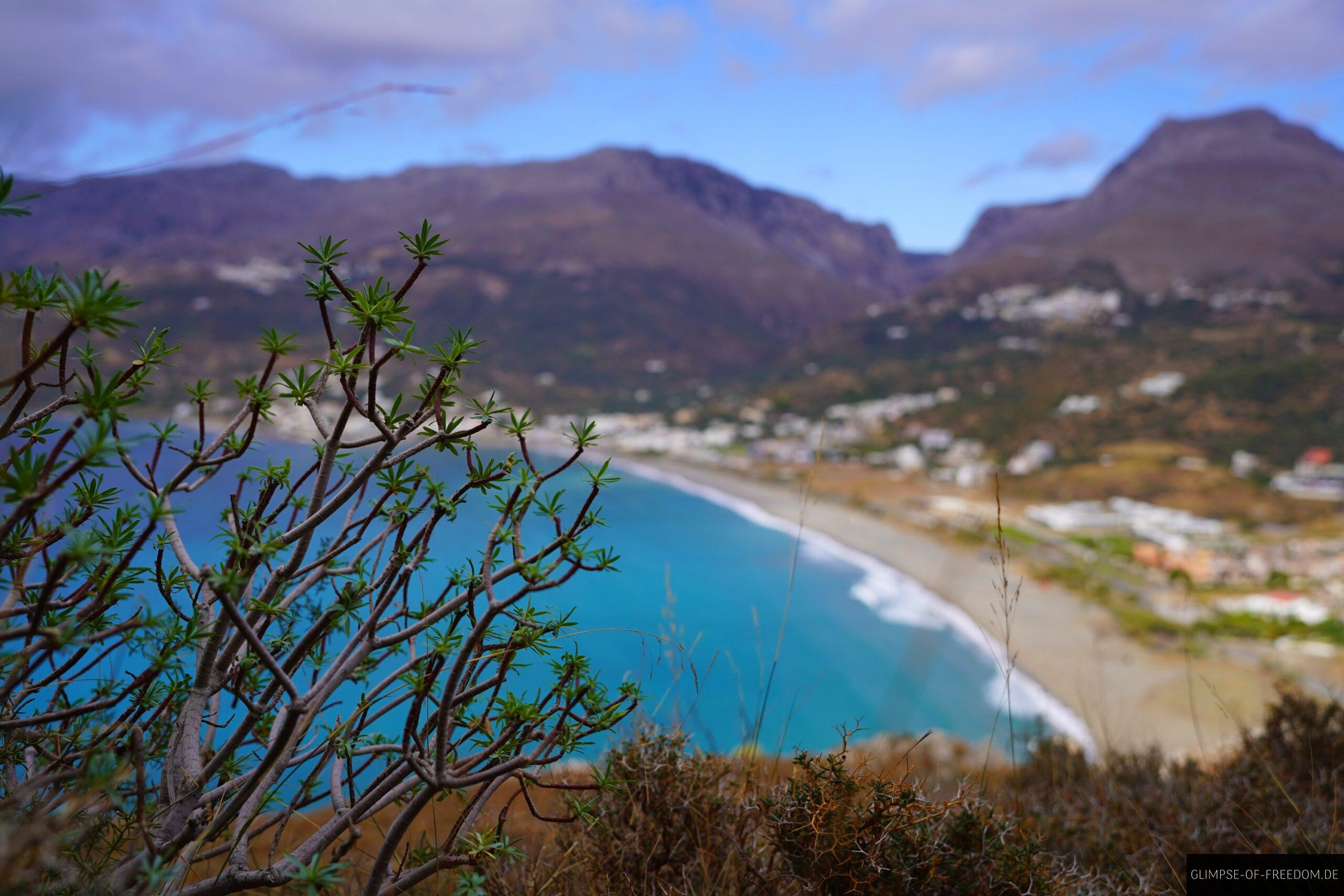 Pflanzenwelt und Aussicht vom Kap Kako Mouri auf Plakias scaled Pflanzenwelt und Aussicht vom Kap Kako Mouri auf Plakias