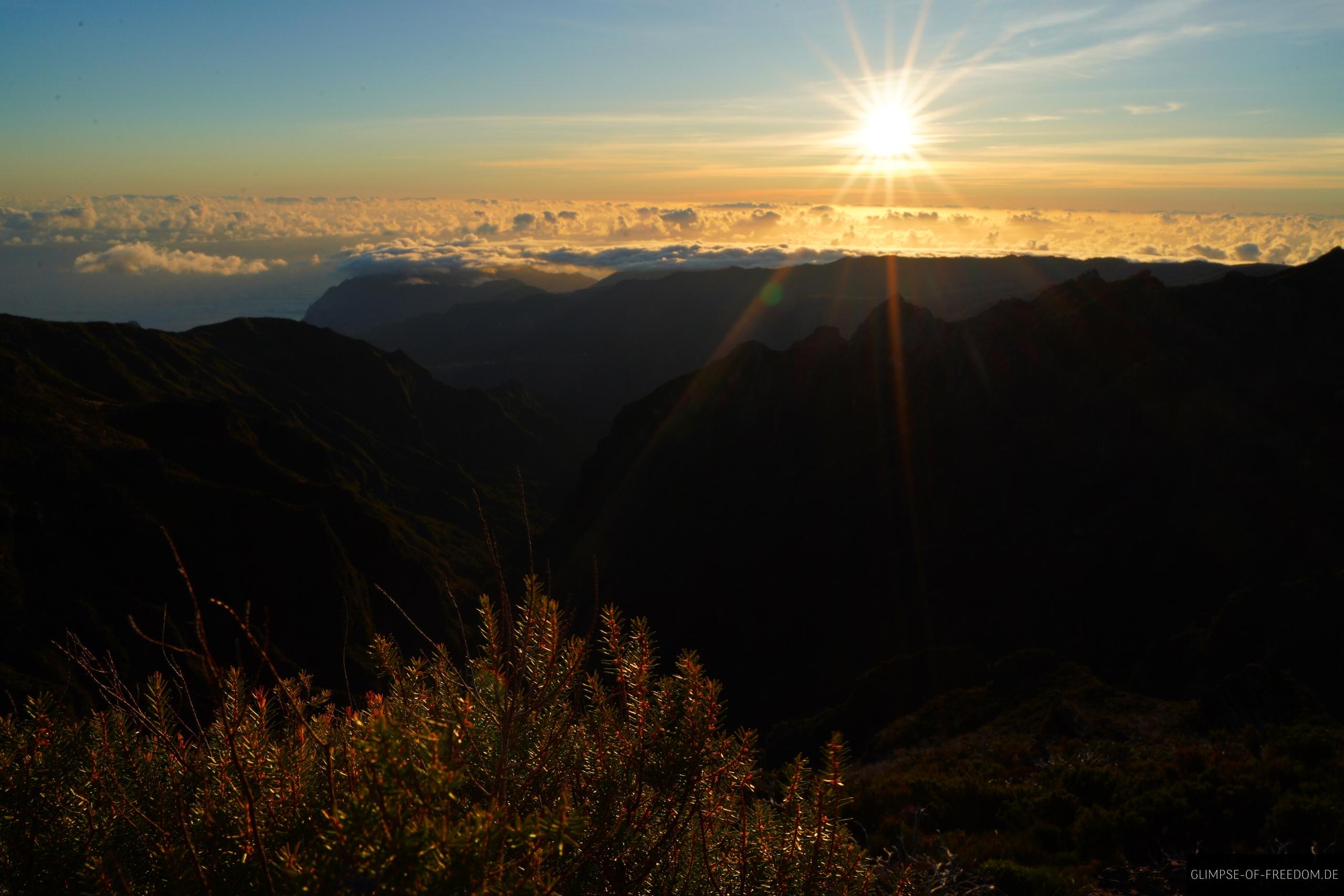 Pico Ruivo Berglandschaft beim Sonnenaufgang Pico Ruivo Berglandschaft beim Sonnenaufgang