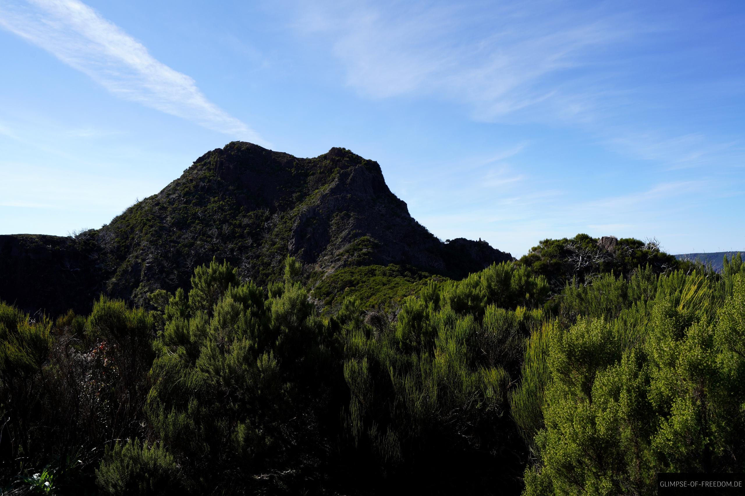 Pico do Jorge Pico do Jorge