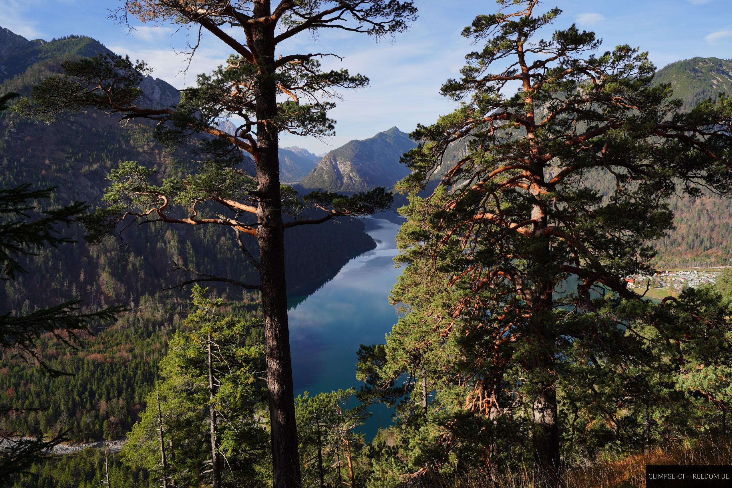 Plansee Ausblick durch die Baeume Plansee Ausblick durch die Bäume