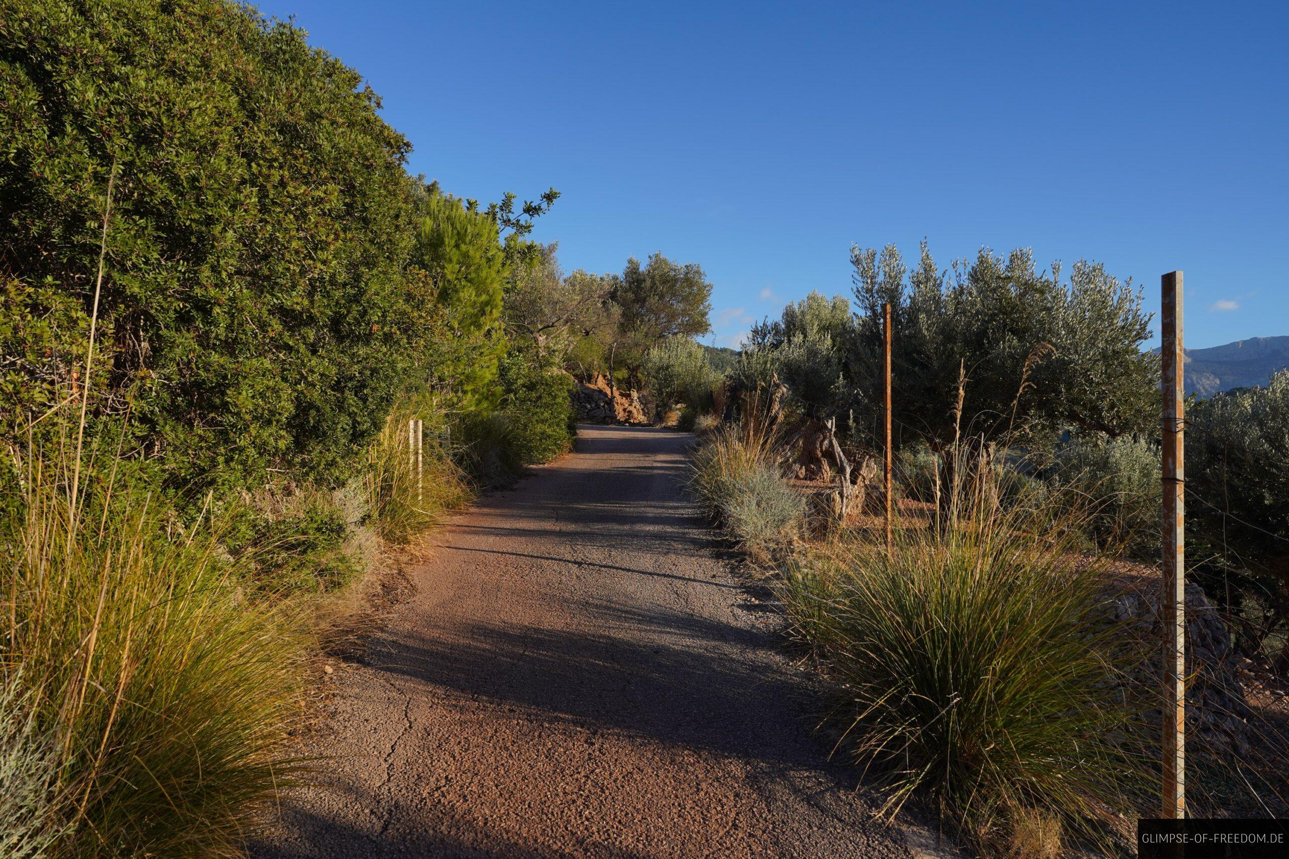 Port de Soller Wanderweg scaled Port de Soller Wanderweg