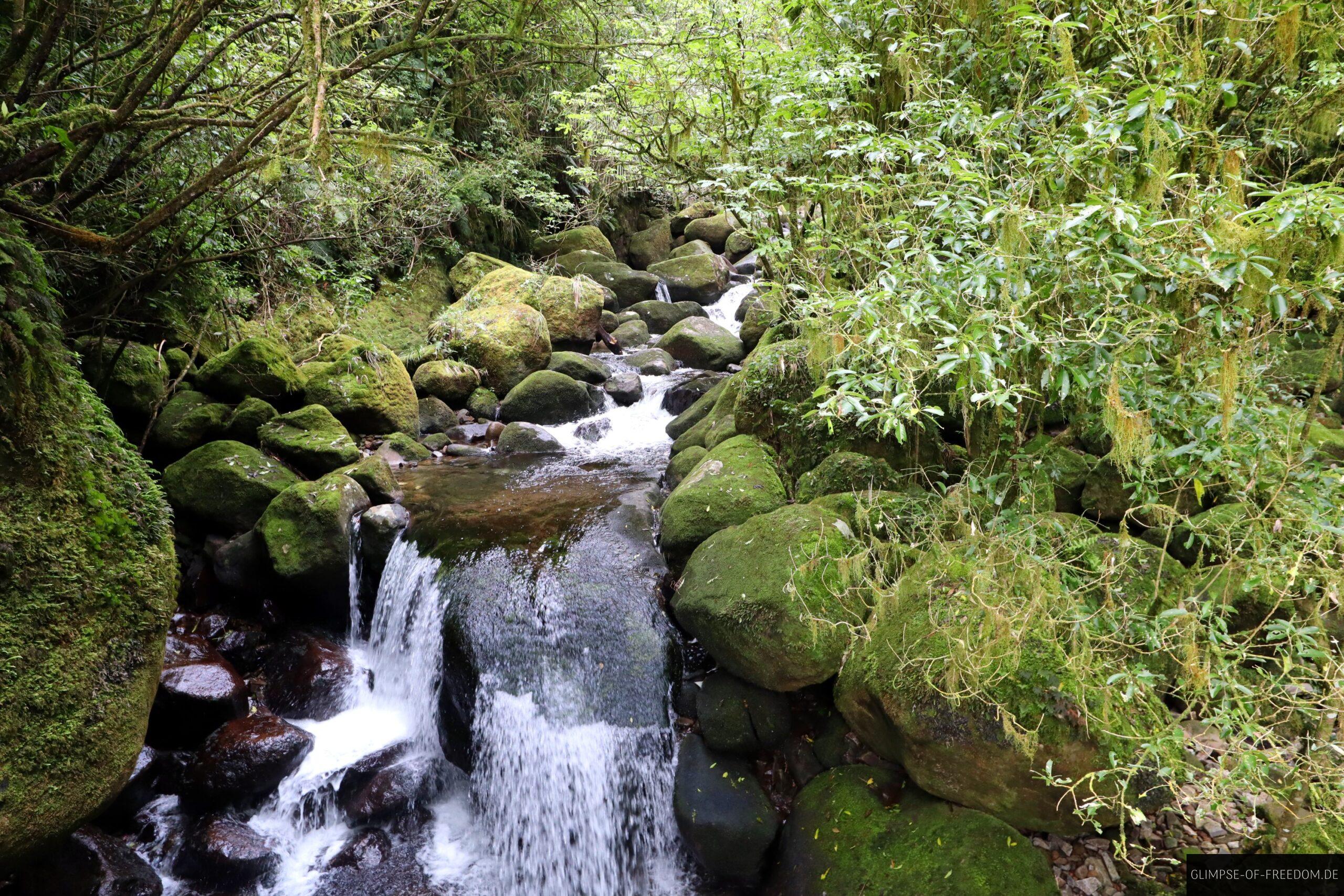 Pure Idylle am Wairere Wasserfall scaled Pure Idylle am Wairere Wasserfall