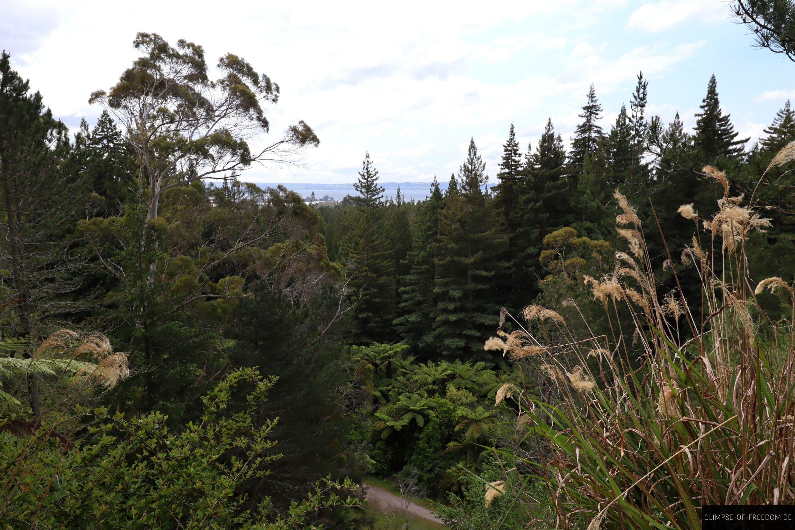 Quarry Lookout scaled Quarry Lookout
