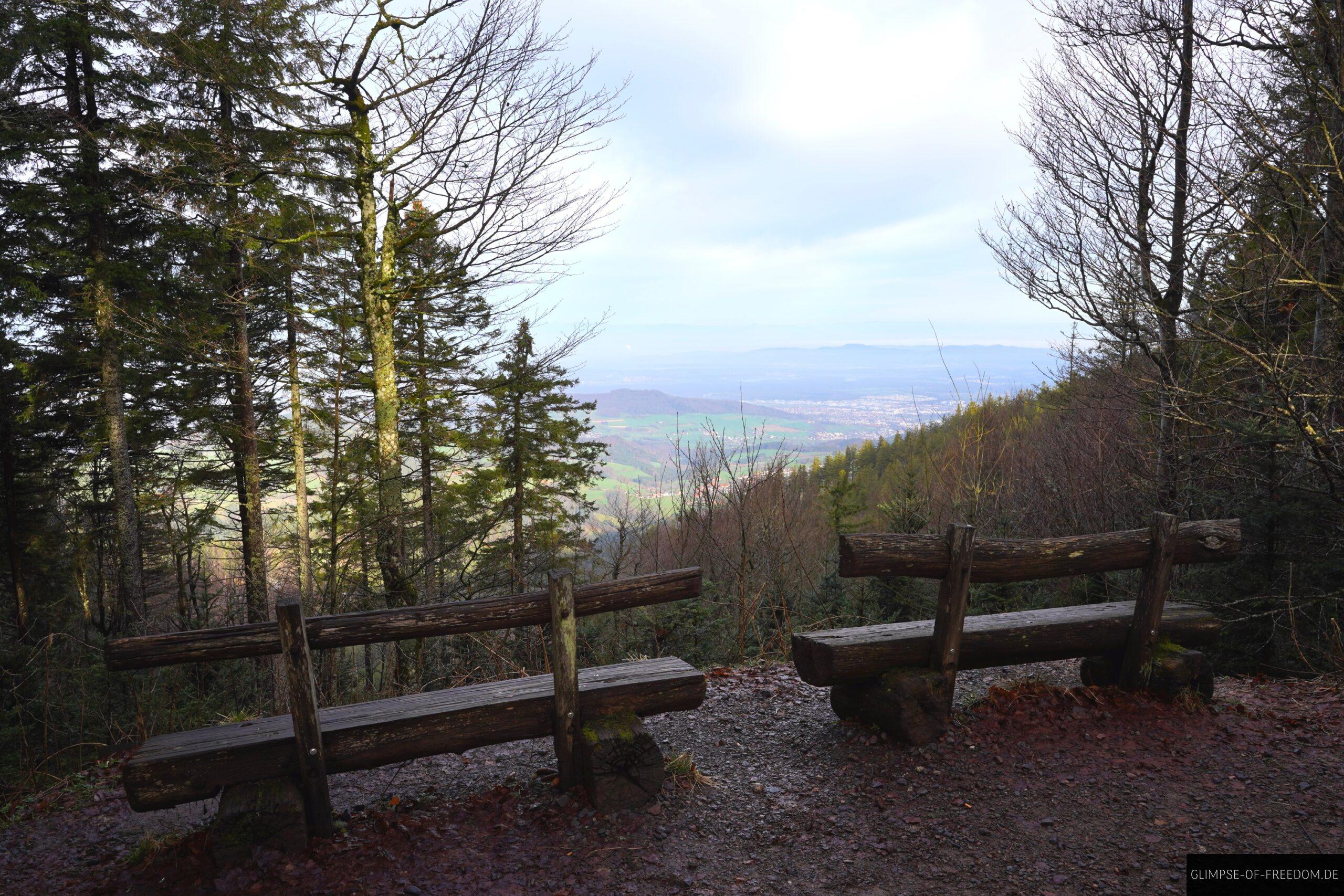 Rasbaenke mit wunderschoener Aussicht nach Freiburg scaled Rasbänke mit wunderschöner Aussicht nach Freiburg