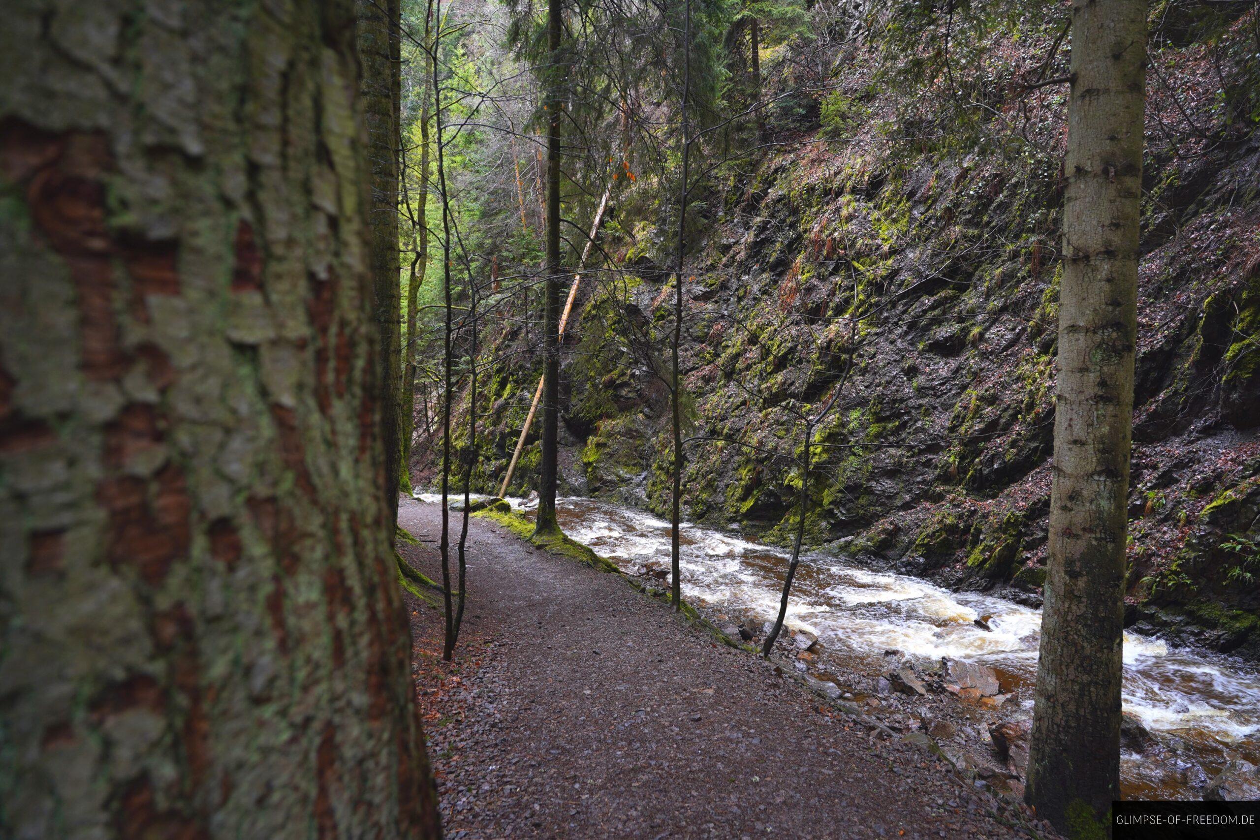 Ravennaschlucht Wanderweg scaled Ravennaschlucht Wanderweg