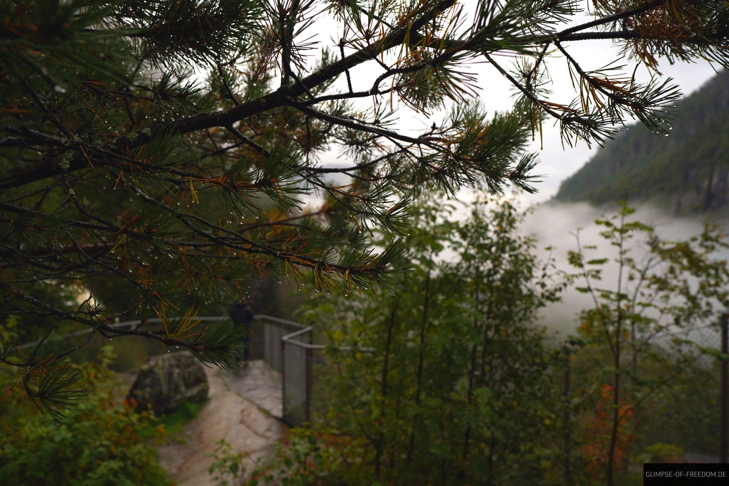 Regnerisches Wetter am Skjervsfossen scaled Regnerisches Wetter am Skjervsfossen