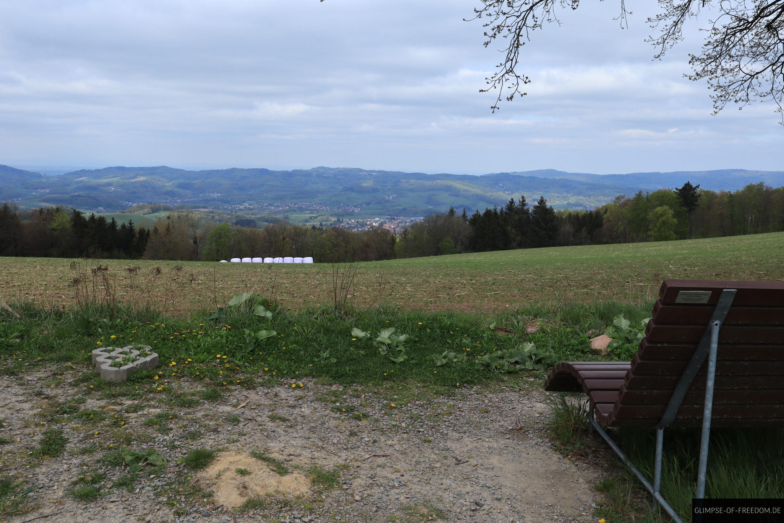 Relaxbank fuer eine kleine Pause im Odenwald scaled Relaxbank für eine kleine Pause im Odenwald
