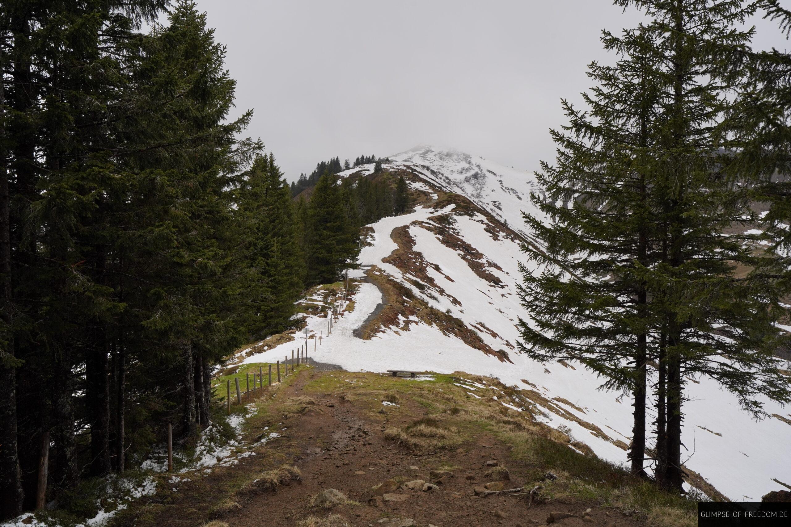 Riedberger Horn Wanderweg scaled Riedberger Horn Wanderweg
