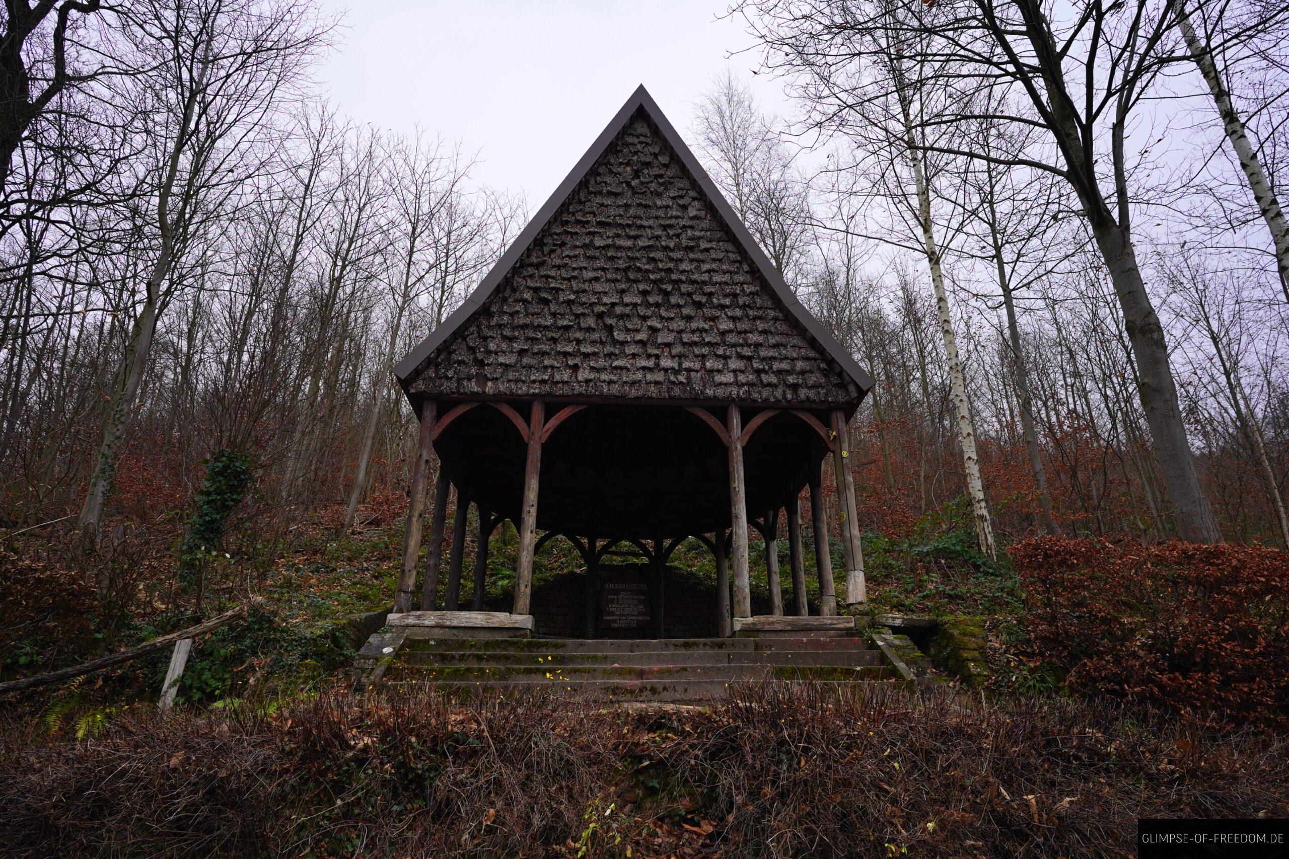 Rindenhaeusschen scaled Rindenhäusschen