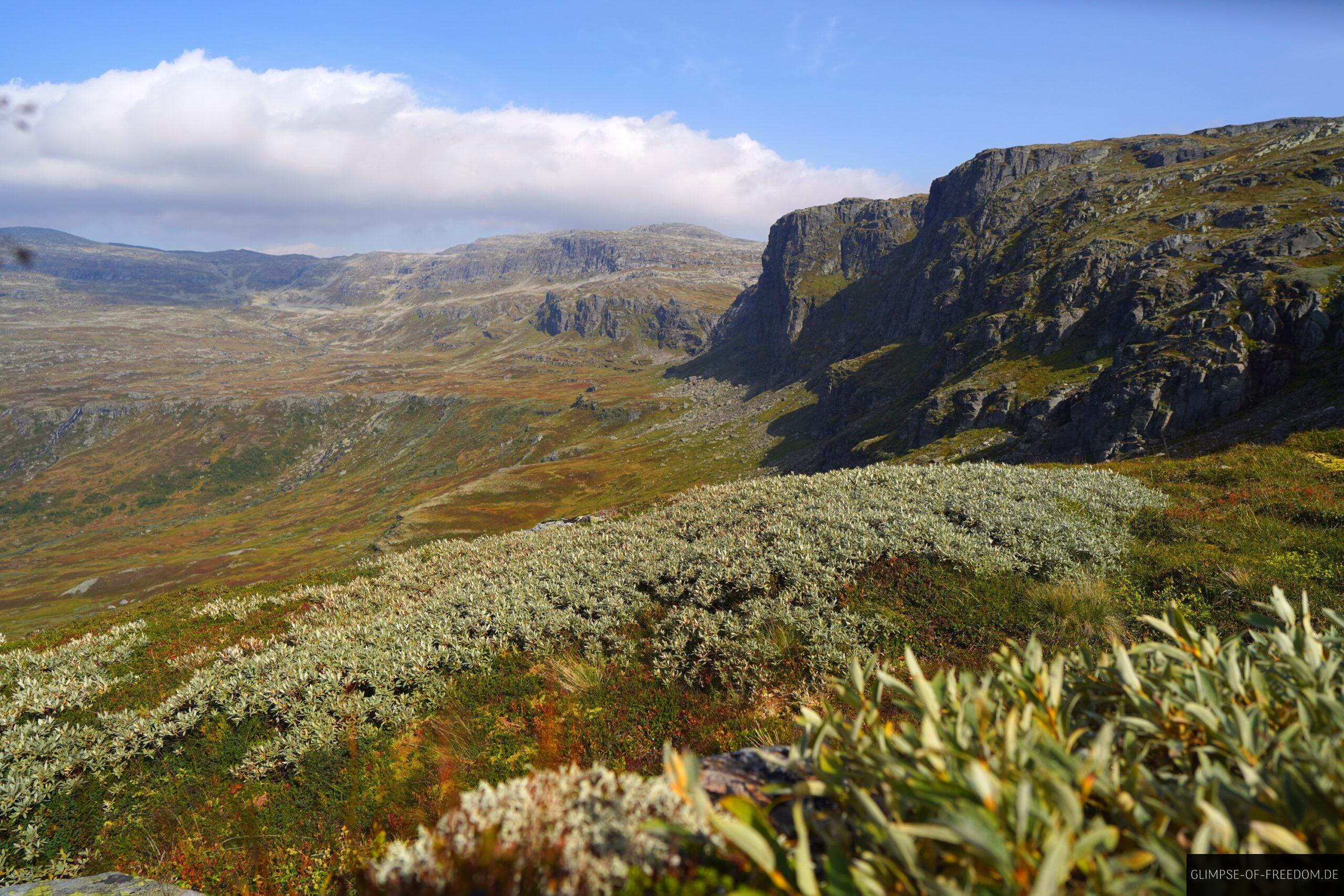 Rossnos Berglandschaft scaled Rossnos Berglandschaft