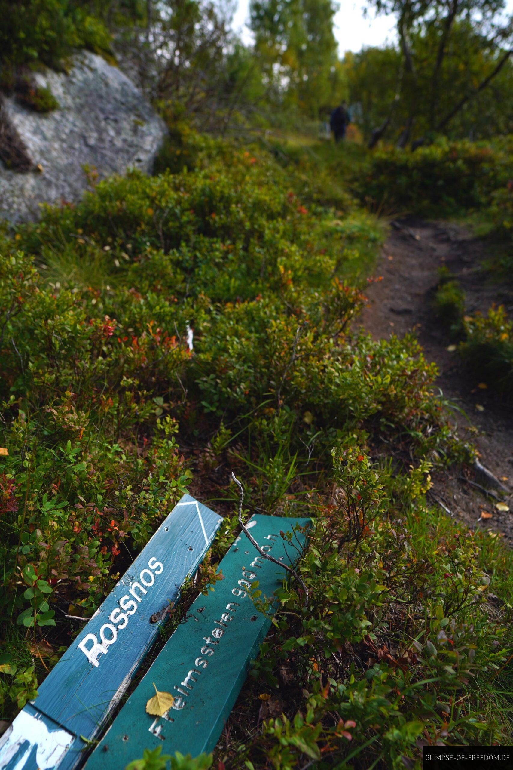 Rossnos Wegweiser scaled Rossnos Wegweiser