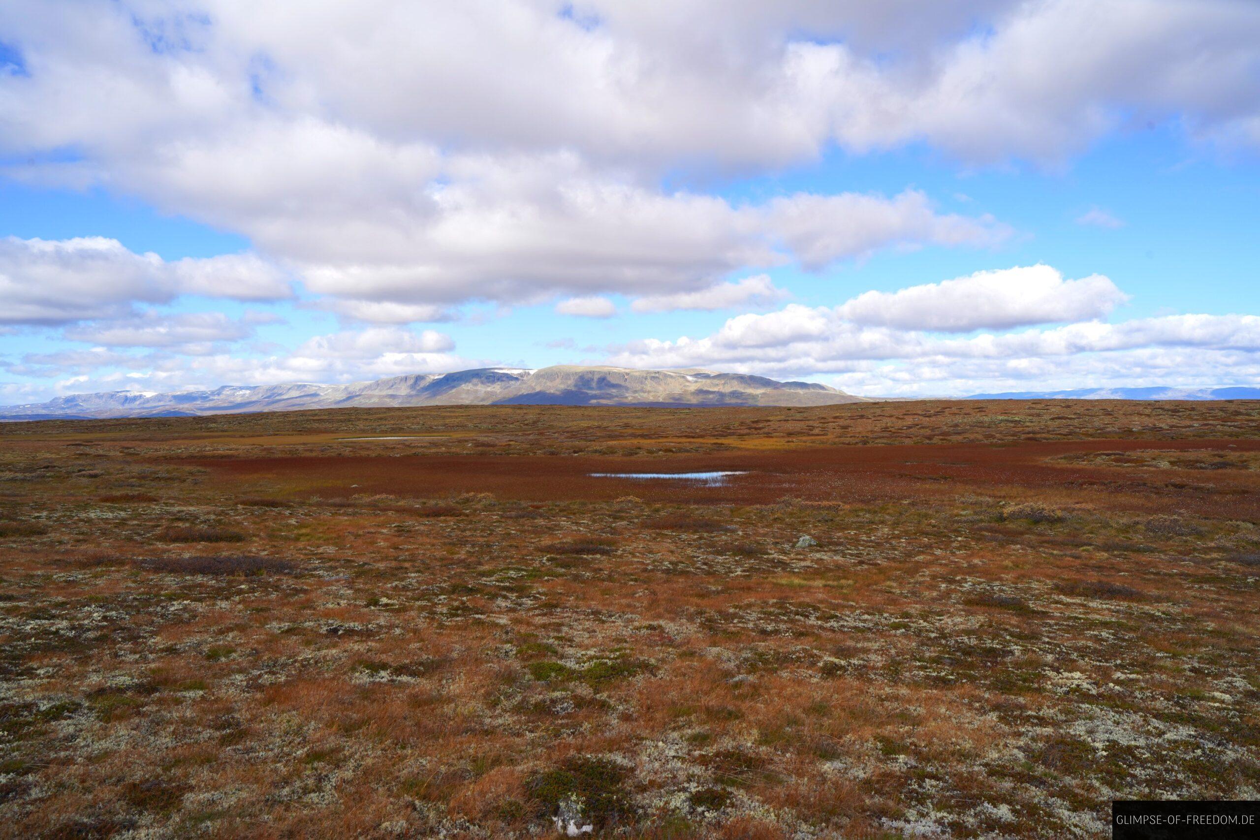 Rote Moorlandschaft im Hardangervidda Nationalpark scaled Rote Moorlandschaft im Hardangervidda Nationalpark