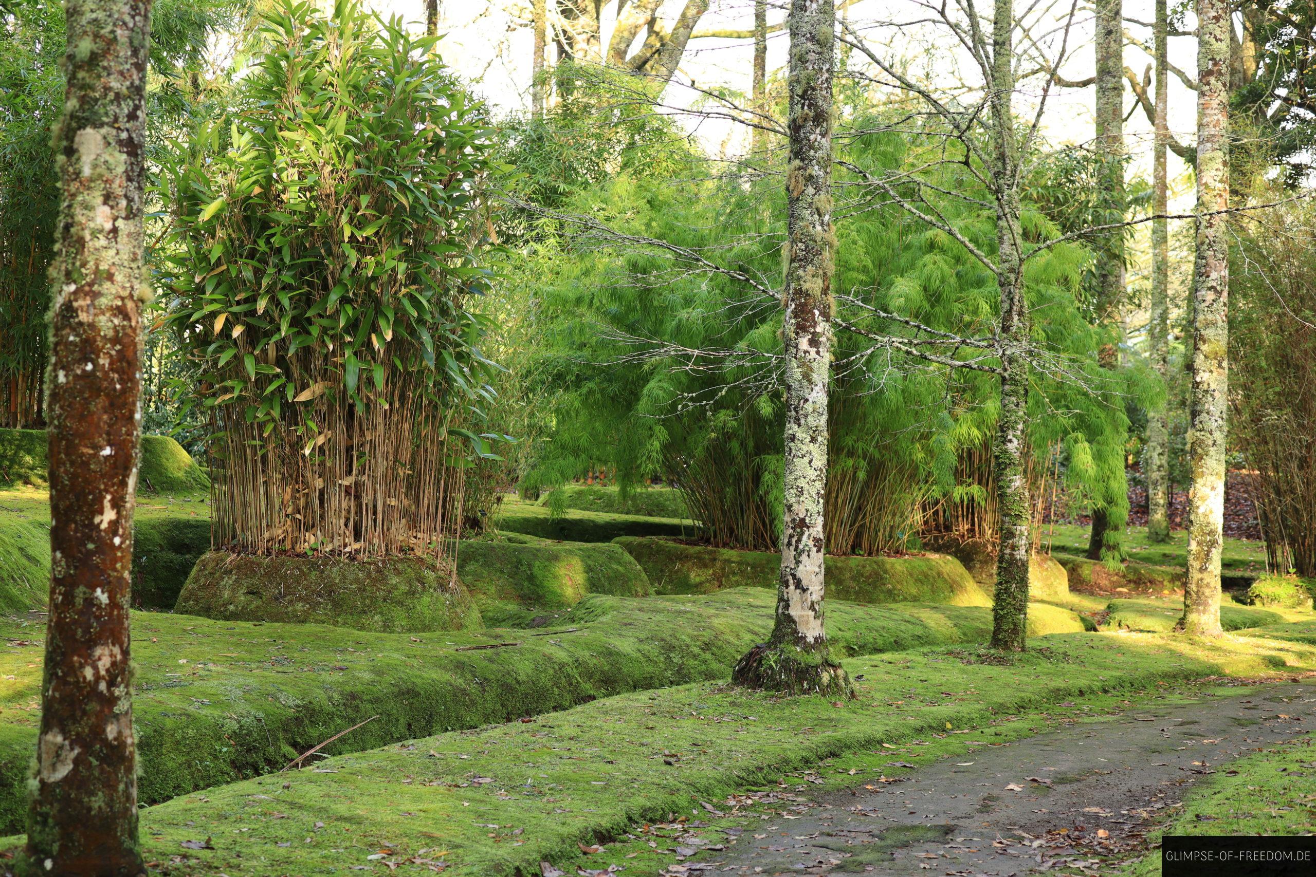 Routen im Terra Nostra Park scaled Routen im Terra Nostra Park