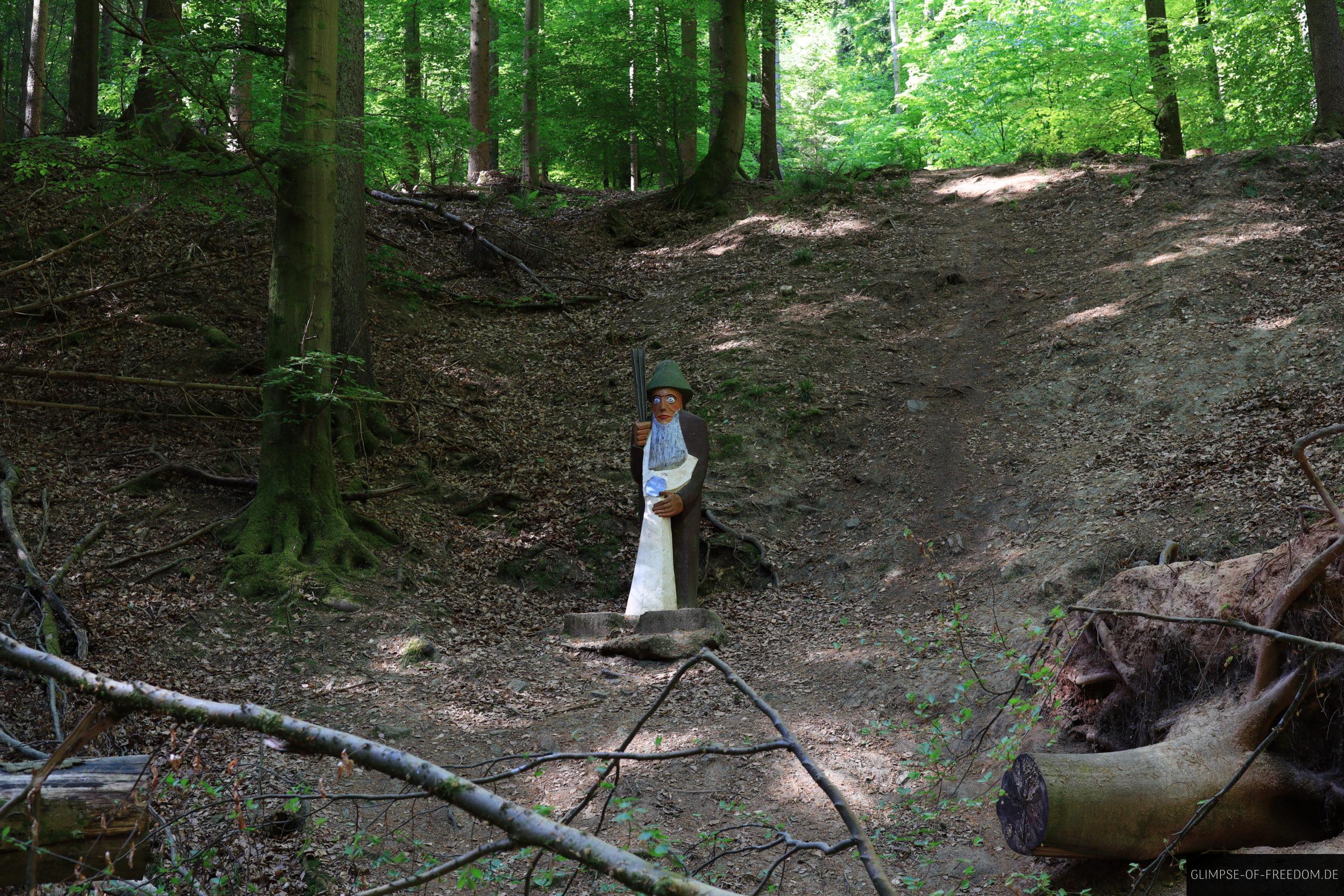 Ruebenzahl auf dem Maerchenpfad in der Obrunnschlucht scaled Ruebenzahl auf dem Maerchenpfad in der Obrunnschlucht