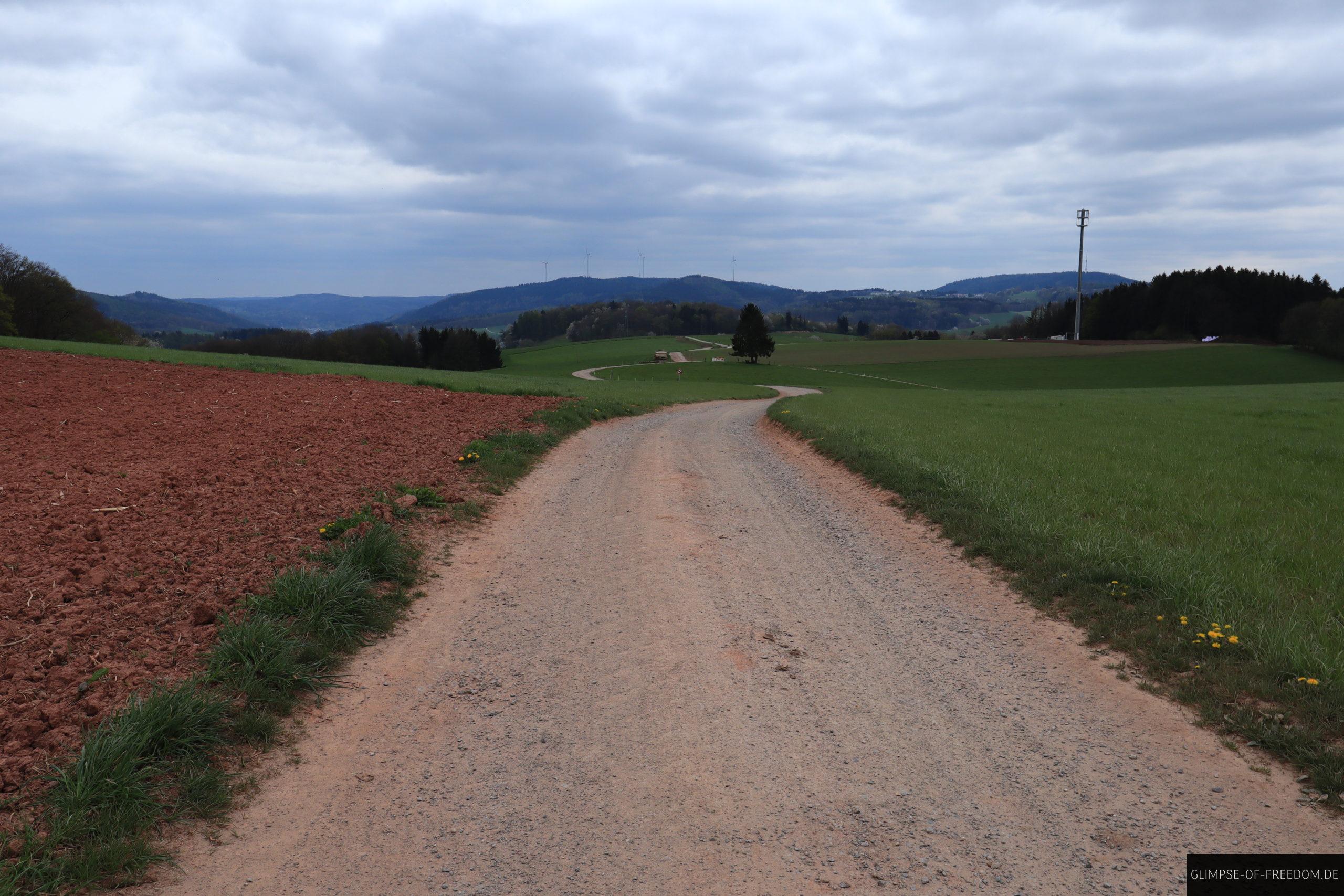 Rueckweg auf der Tromm Wanderung Wald Michelbach scaled Rückweg auf der Tromm Wanderung Wald-Michelbach