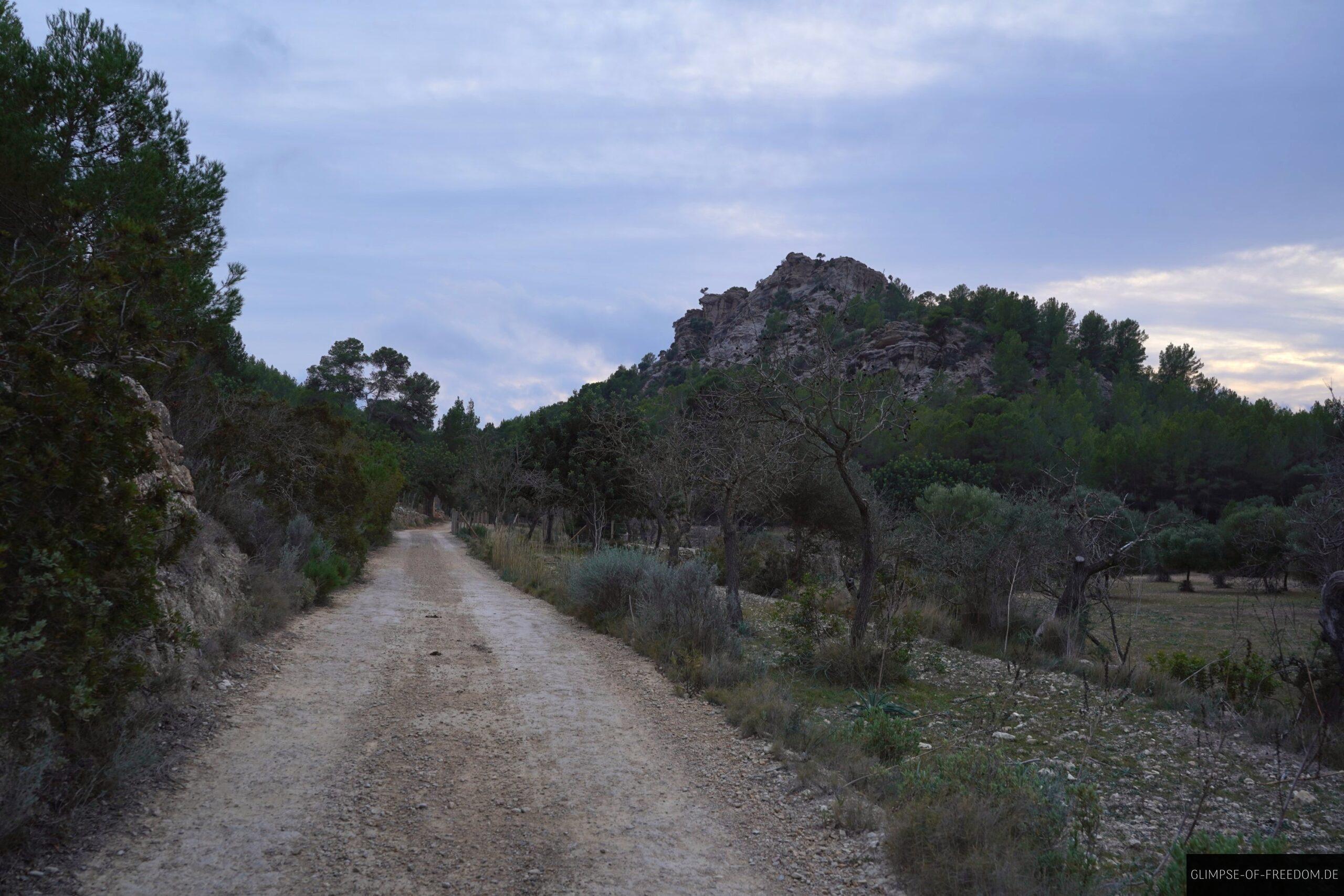 Rueckweg nach Sant Elm scaled Rückweg nach Sant Elm
