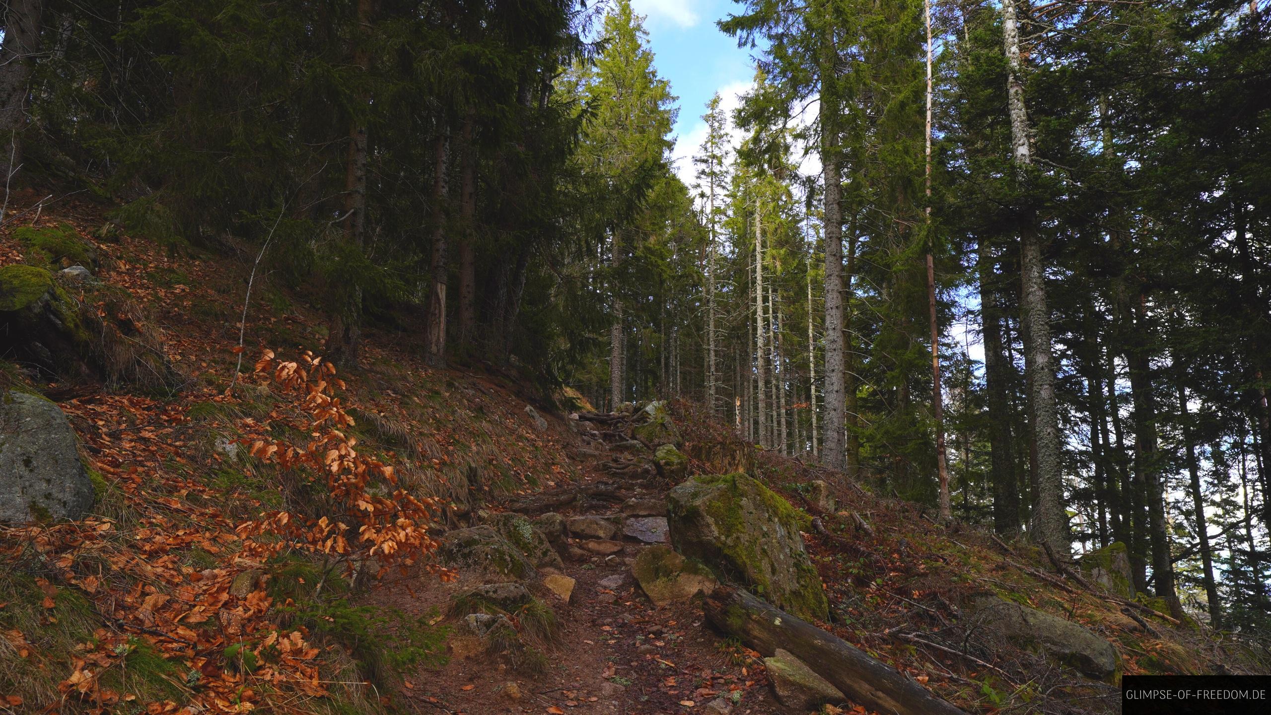 Rueckweg zum Lac Blanc Rückweg zum Lac Blanc