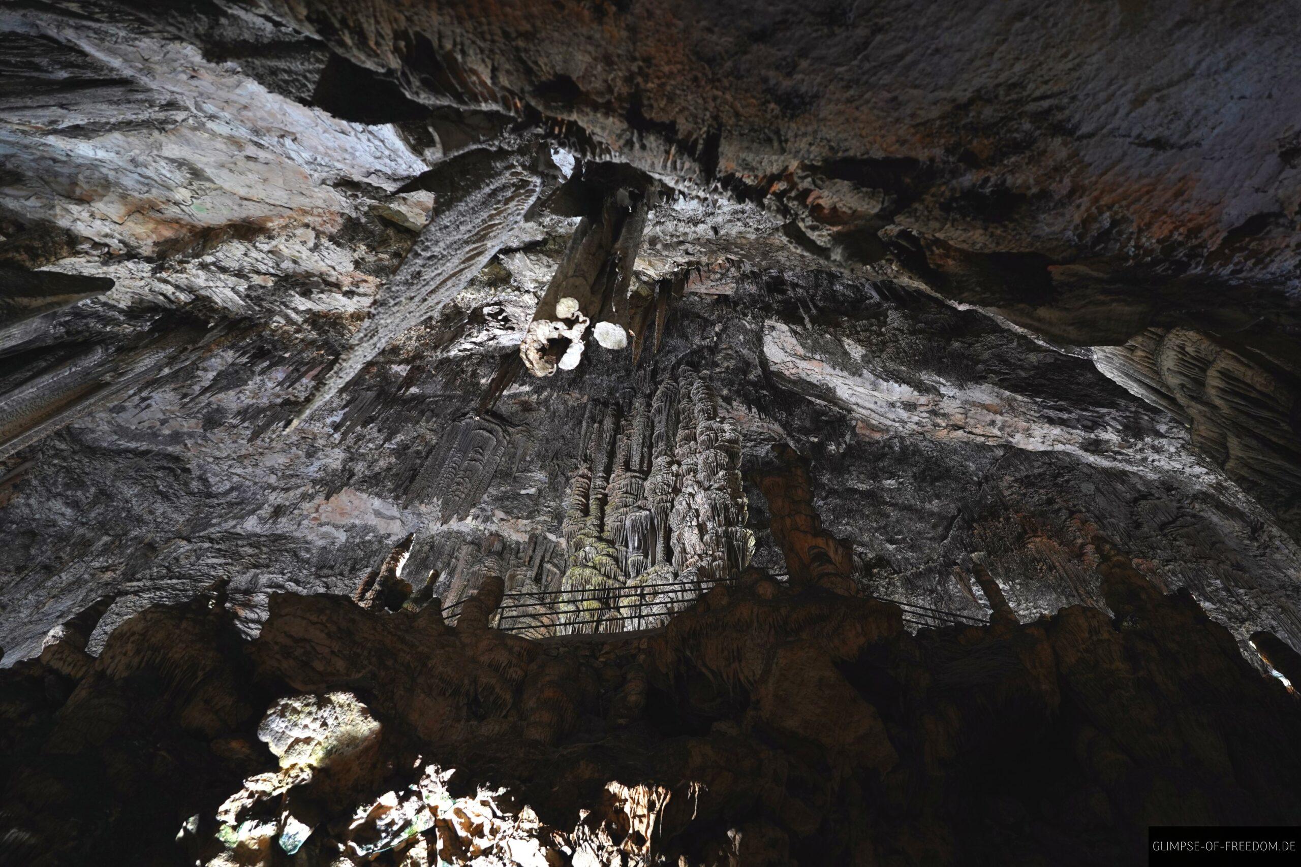 Saal der Flaggen scaled Saal der Flaggen