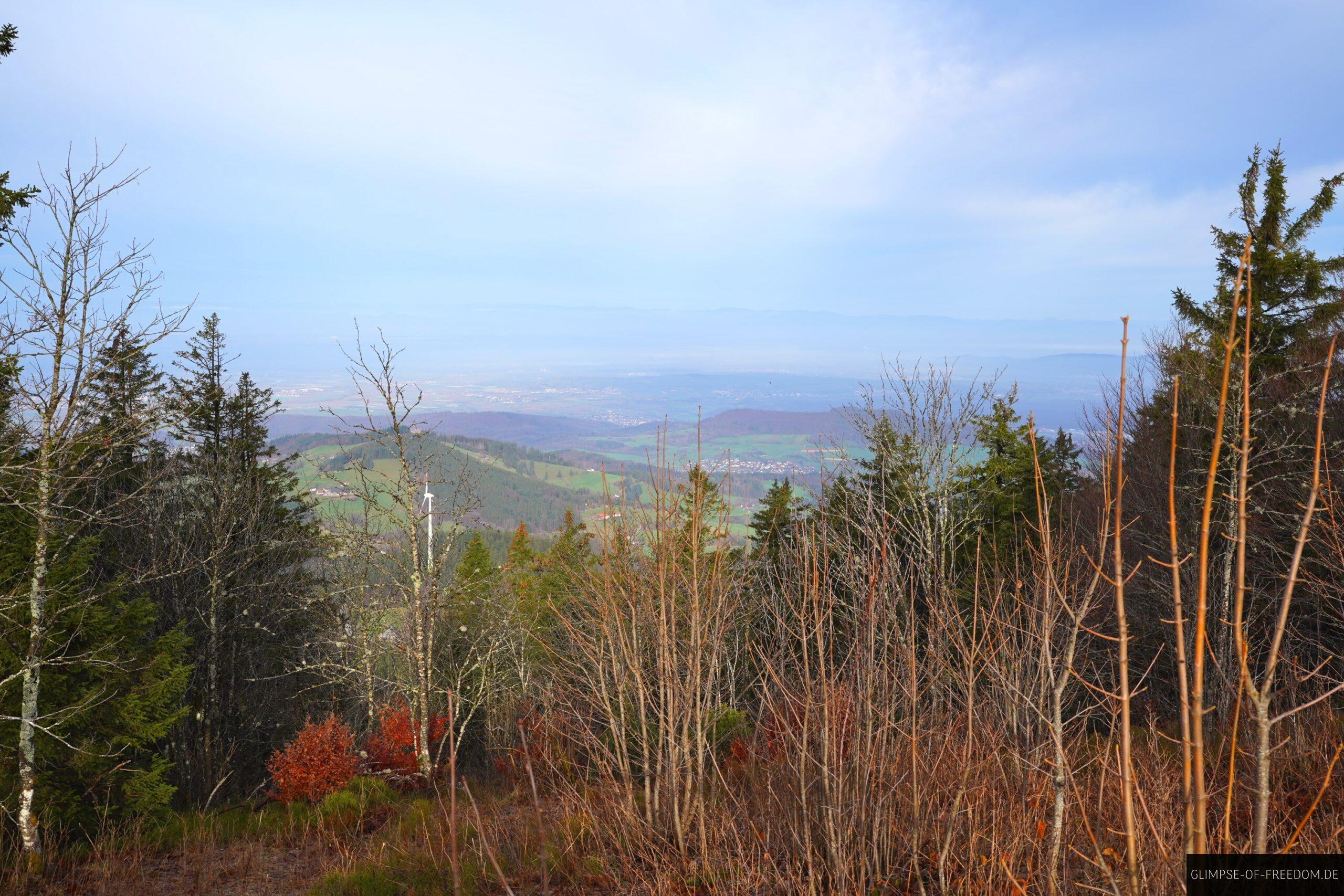 Schauinsland Blick ueber die Baeume scaled Schauinsland Blick über die Bäume