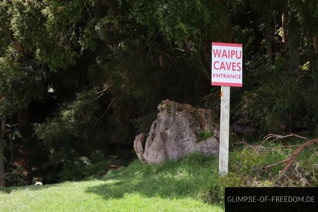 Schid zu den Waipu Caves