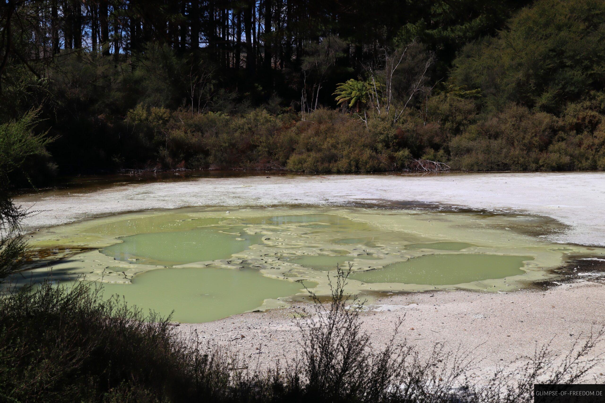Schlammiger See im Wai O Tapu Thermal Wonderland scaled Schlammiger See im Wai O Tapu Thermal Wonderland