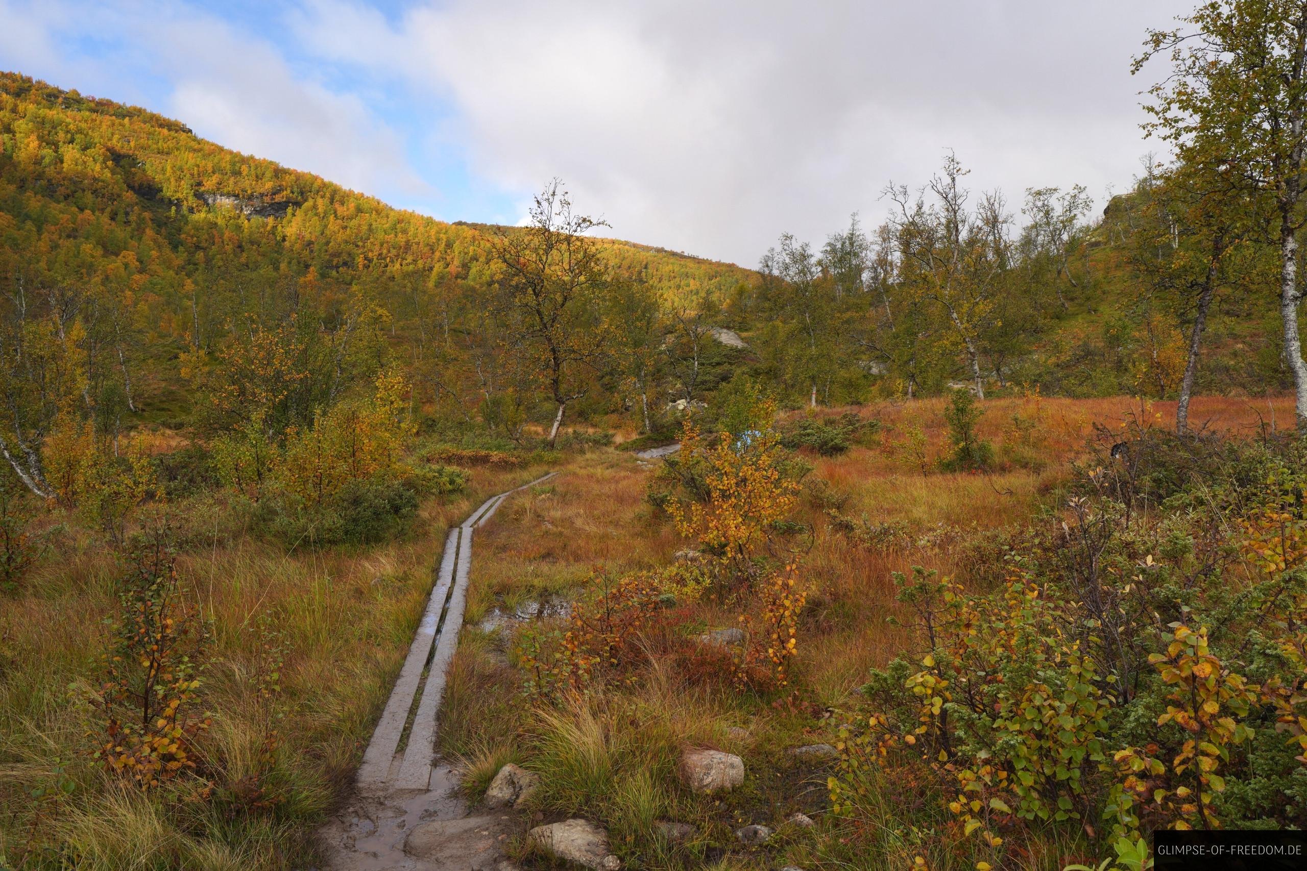 Schmaler Holzsteg Aurlandsdalen Schmaler Holzsteg Aurlandsdalen