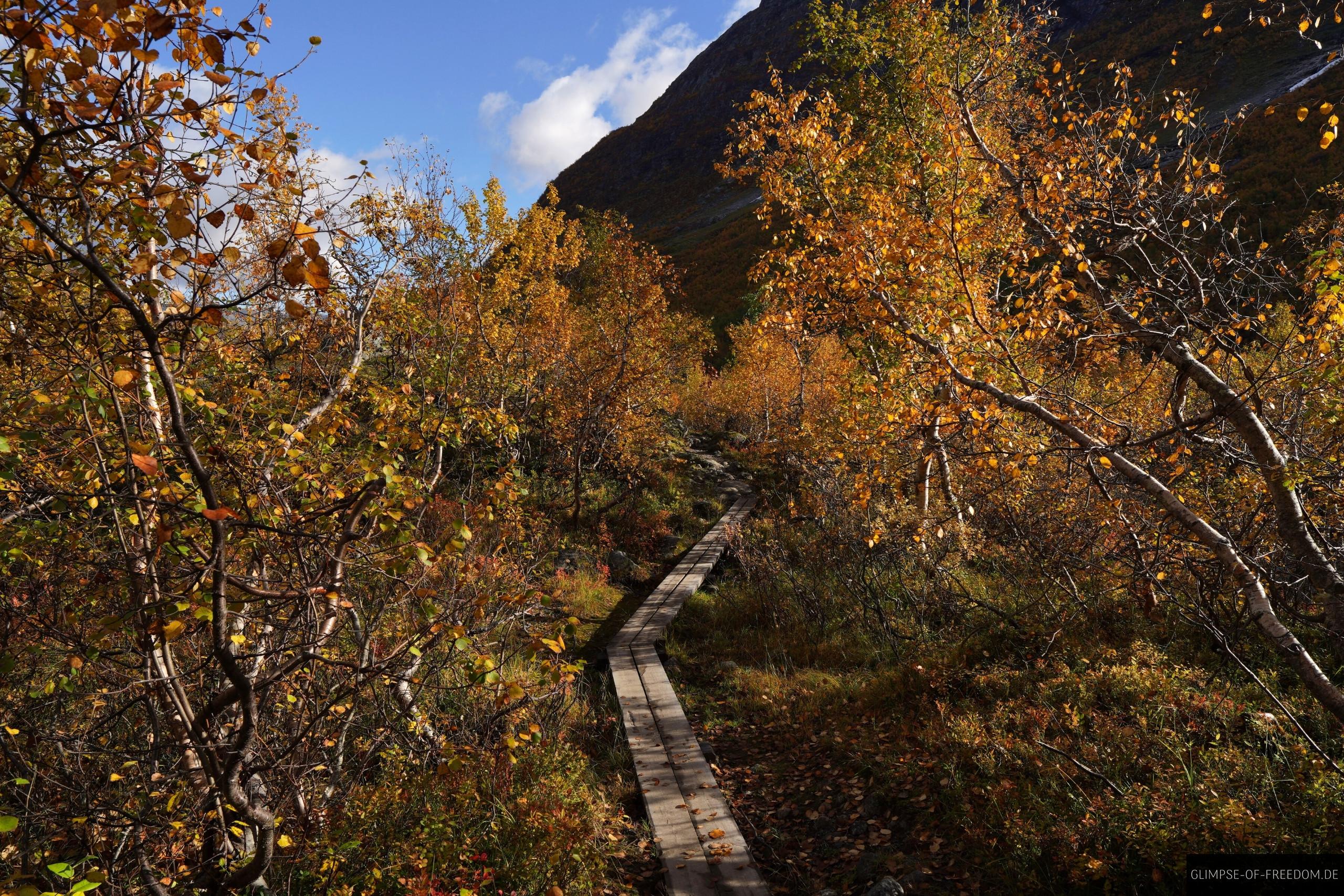 Schmaler Holzsteg auf dem Bergsetbreen Weg Schmaler Holzsteg auf dem Bergsetbreen Weg