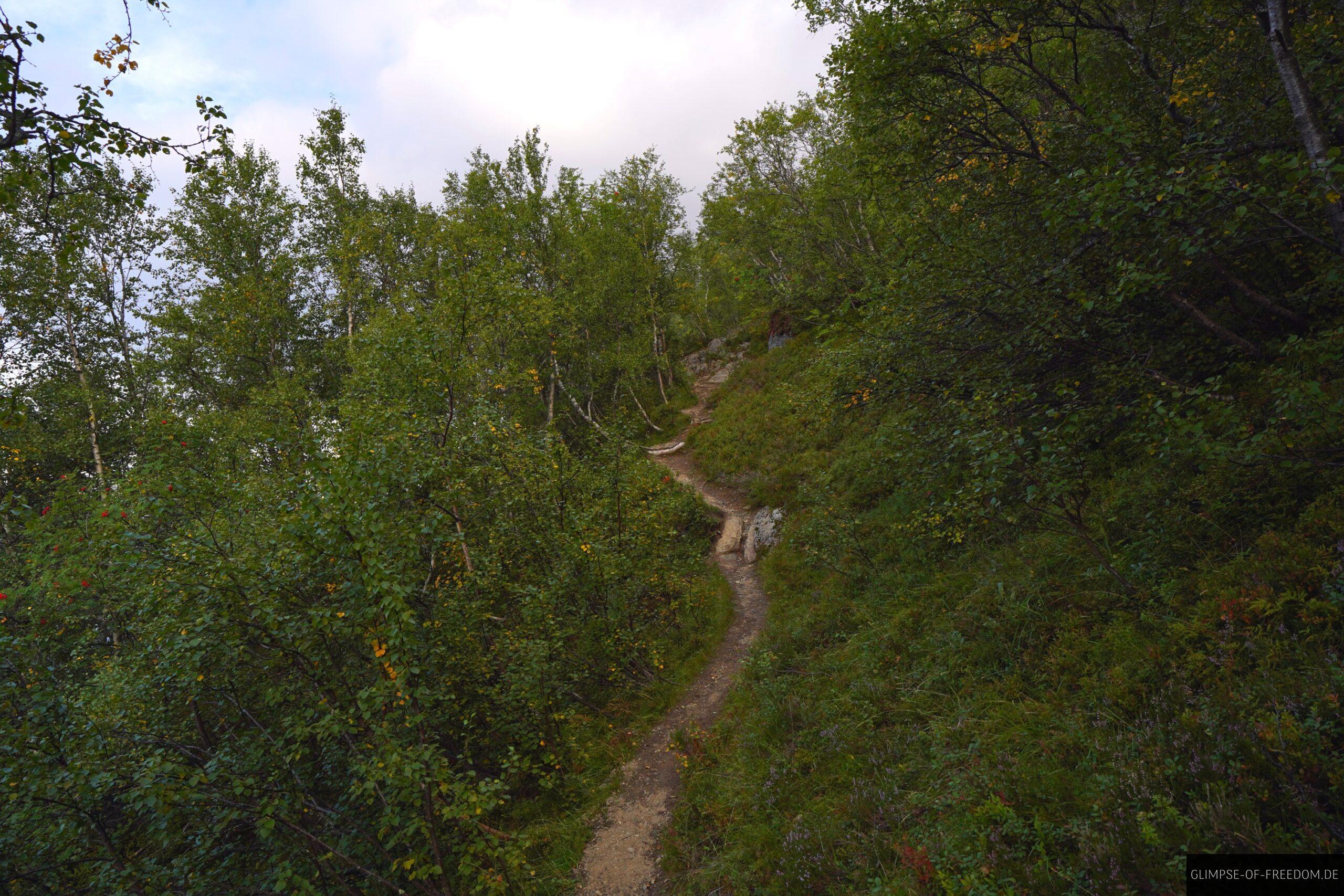 Schmaler Pfad am Rossnos scaled Schmaler Pfad am Rossnos