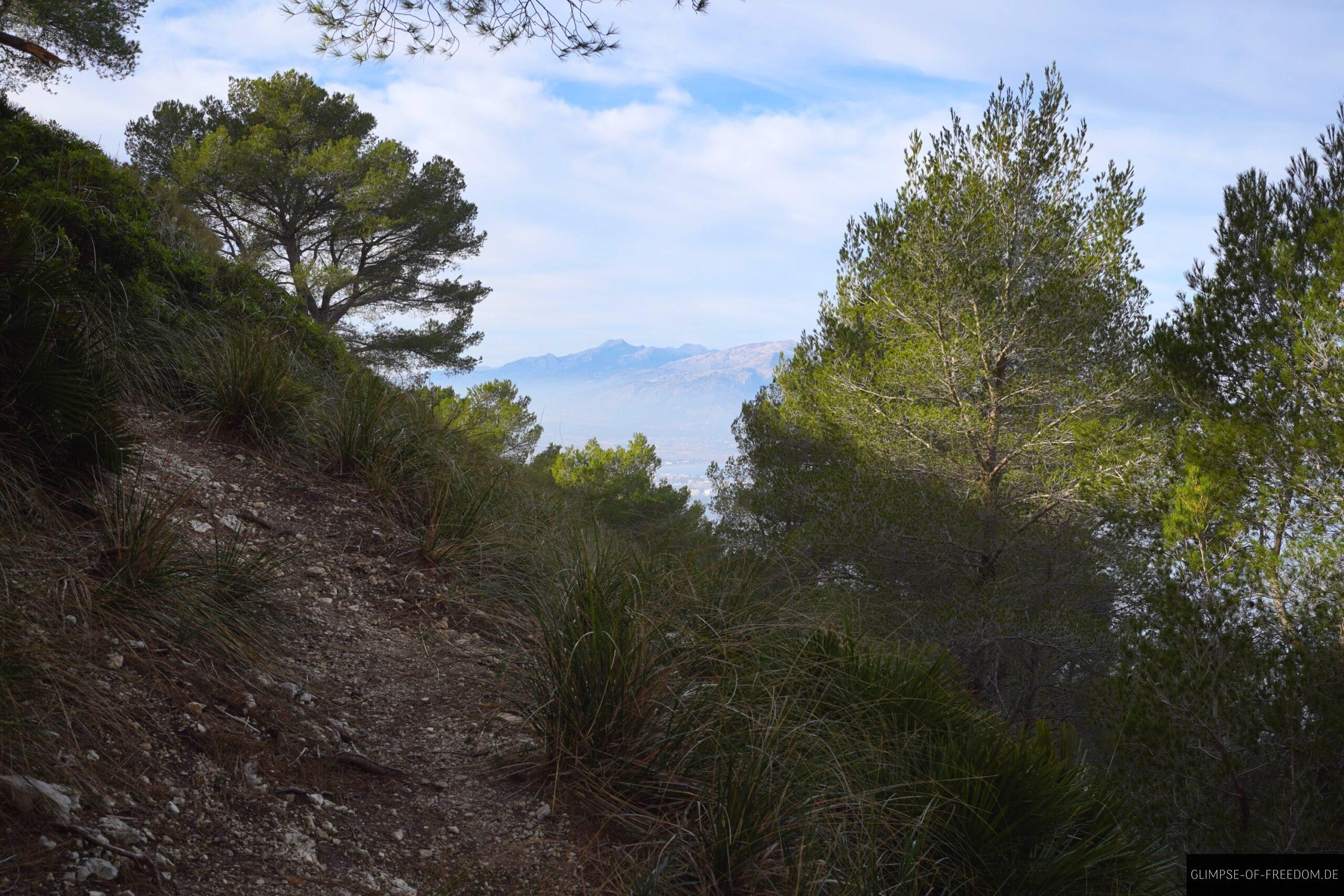 Schmaler Pfad zum Talaia Vella scaled Schmaler Pfad zum Talaia Vella