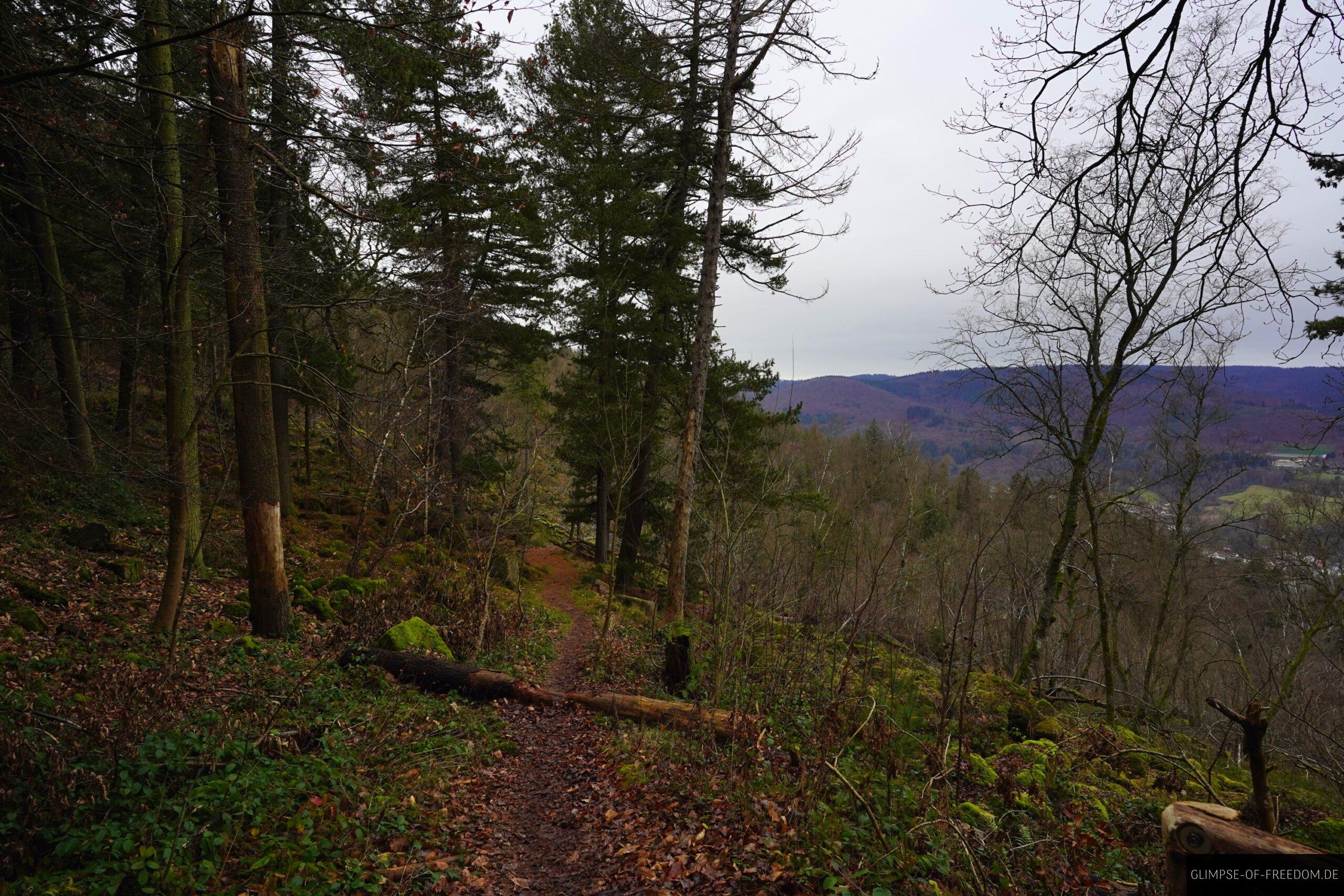 Schmaler Wanderweg mit Blick Richtung Ziegelhausen scaled Schmaler Wanderweg mit Blick Richtung Ziegelhausen