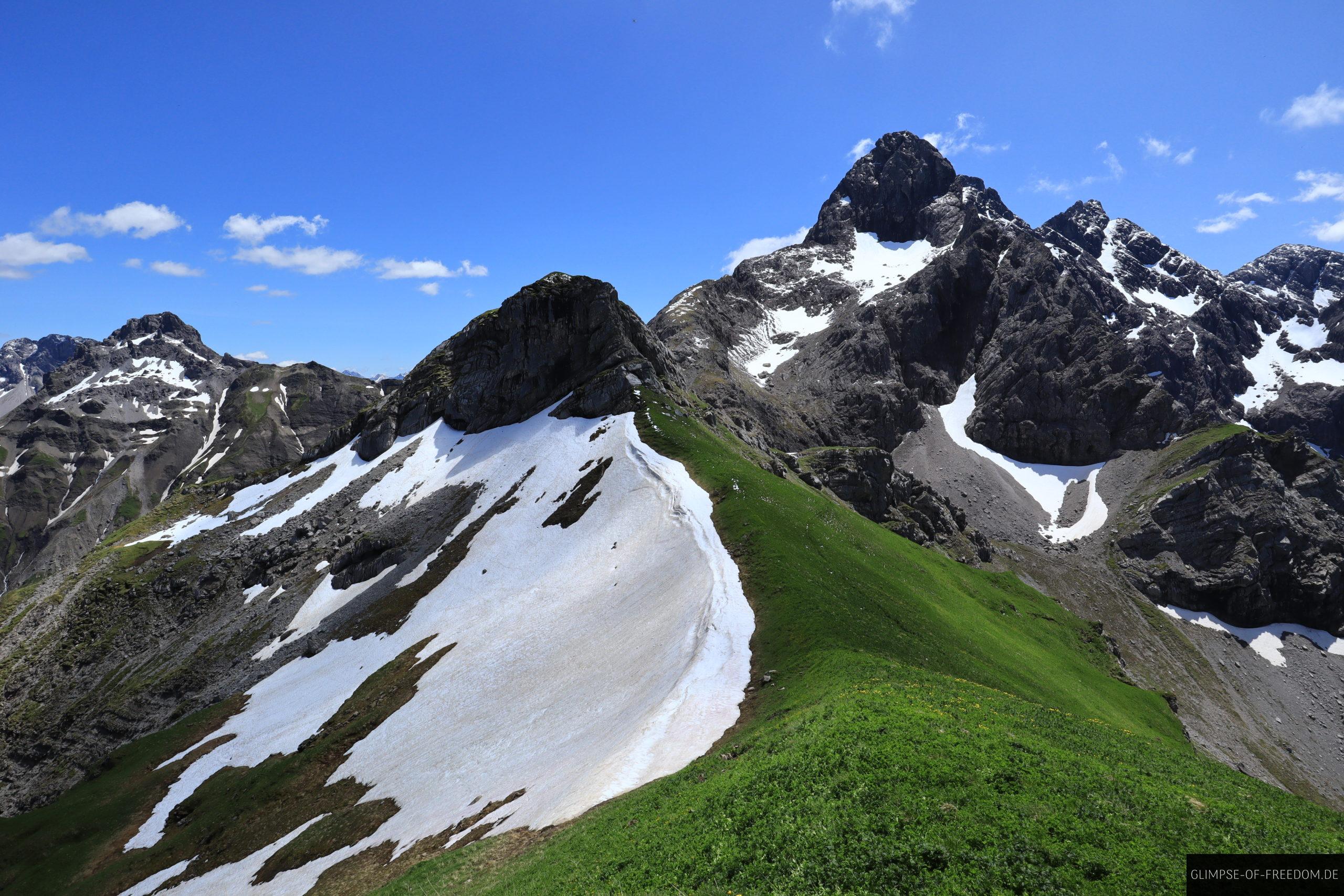 Schnee und Gras am Wildengundkopf scaled Schnee und Gras am Wildengundkopf