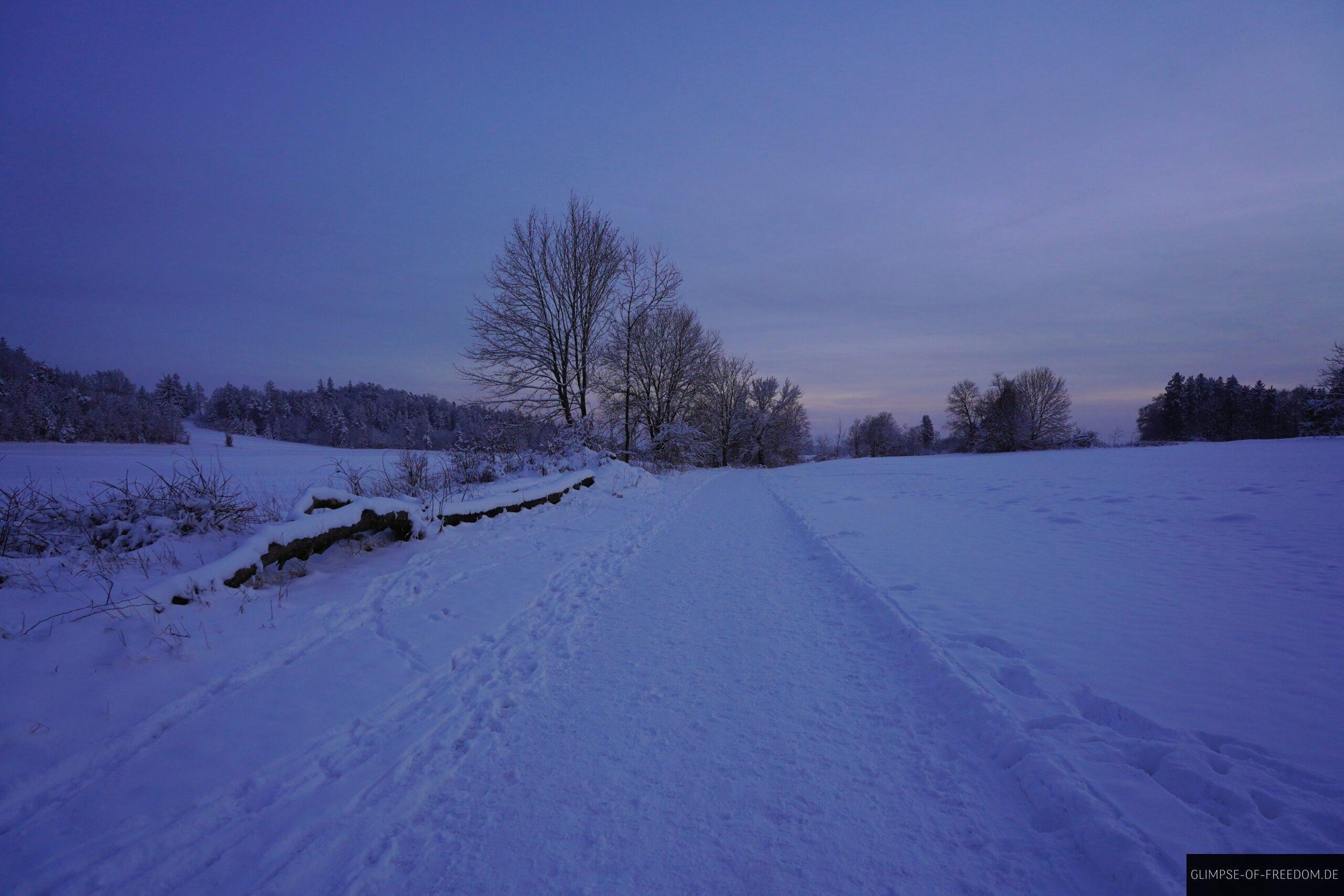 Schneewanderung in der Abenddaemmerung scaled Schneewanderung in der Abenddämmerung