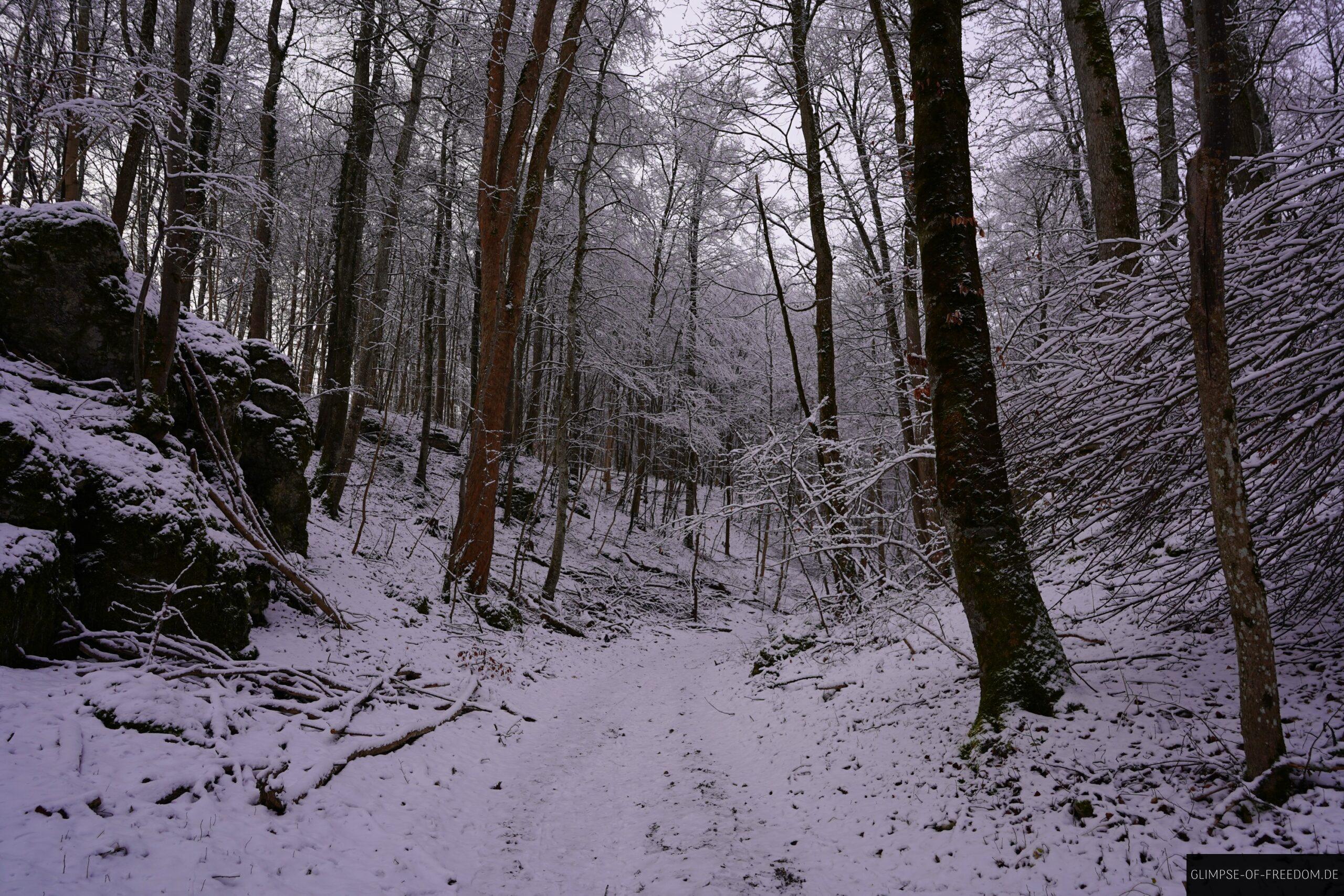 Schneewanderung zum Uracher Wasserfall scaled Schneewanderung zum Uracher Wasserfall