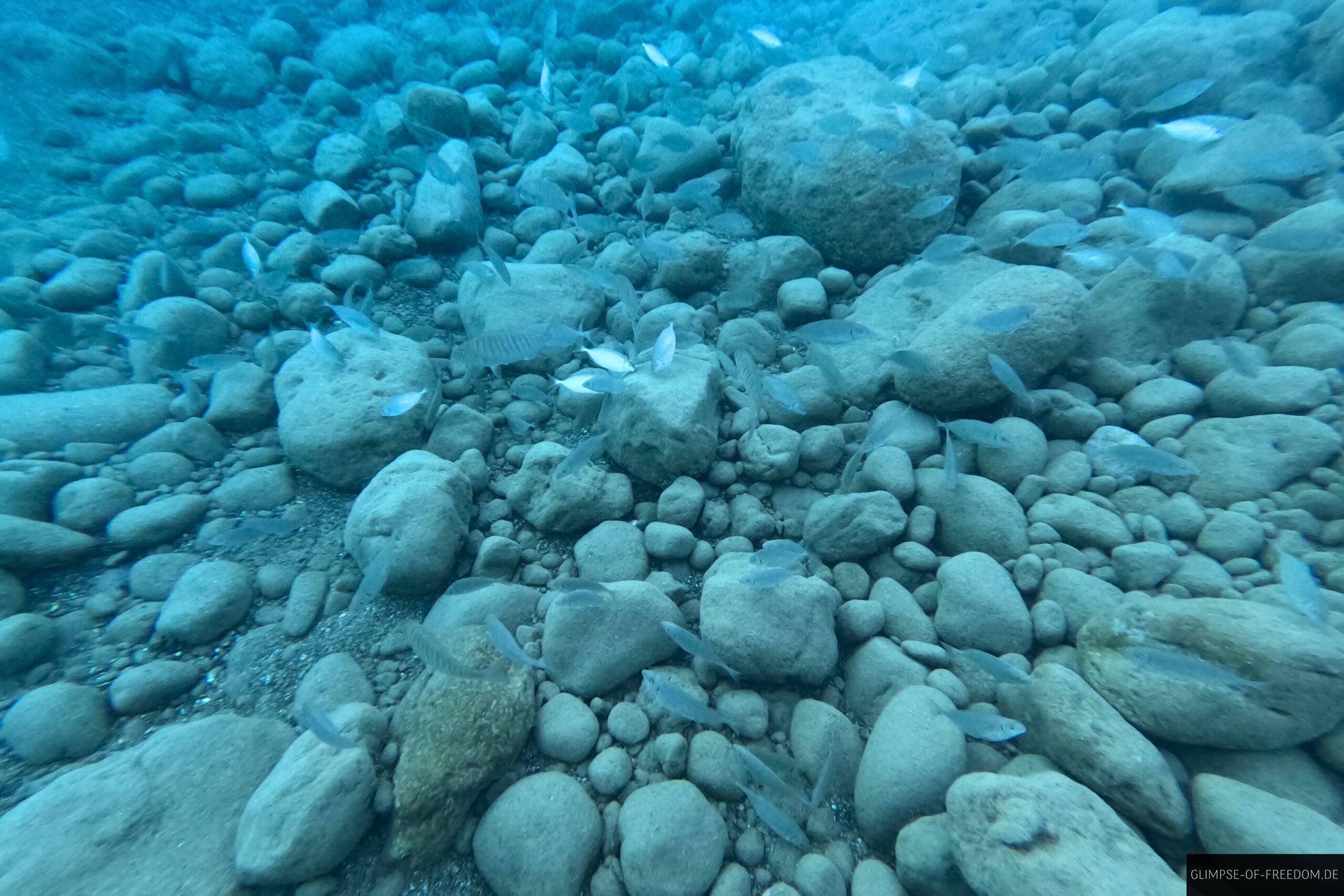 Schnorcheln am Agiofarago Strand scaled Schnorcheln am Agiofarago Strand