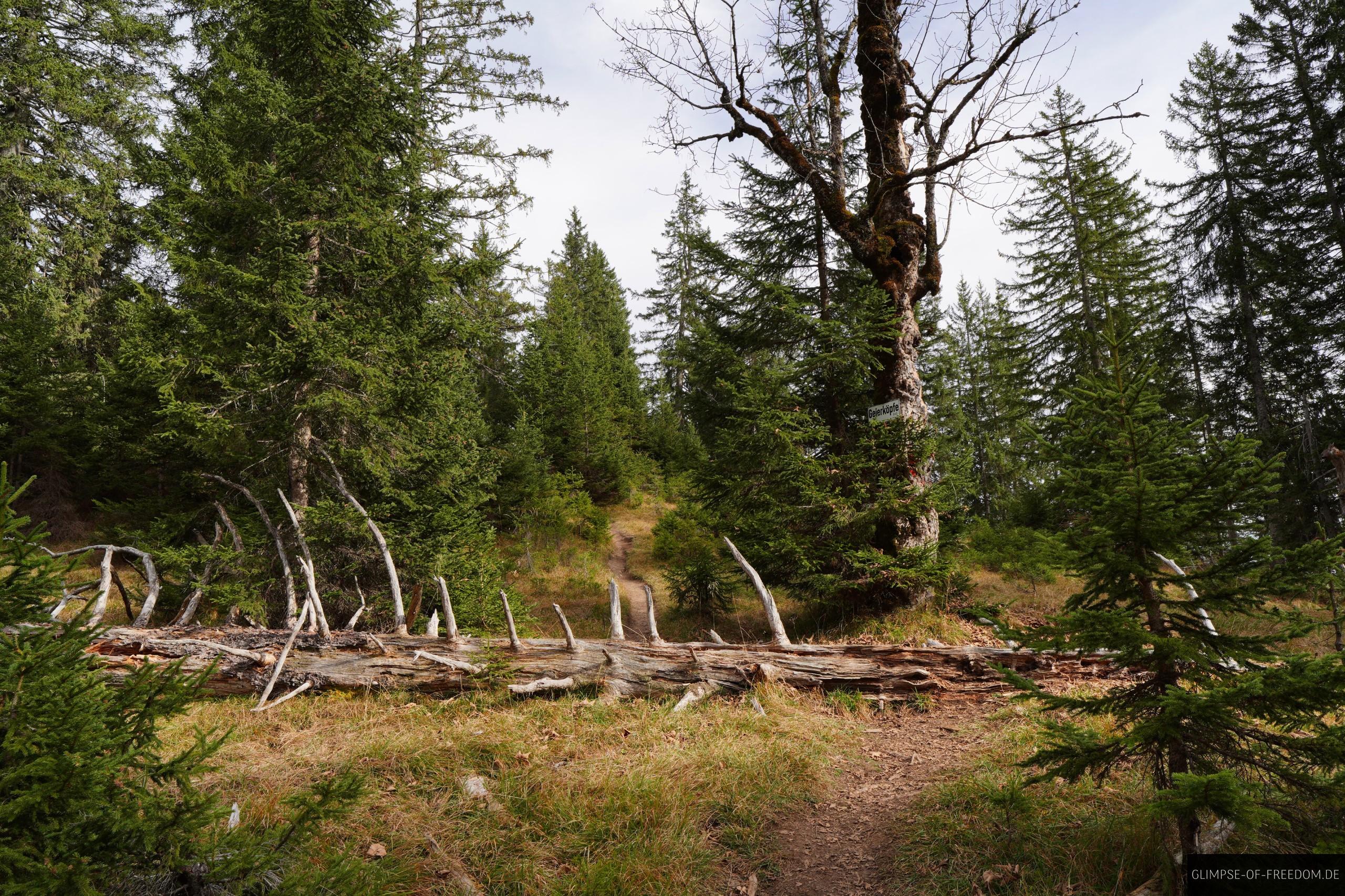 Schoenjoechl Wanderun Schönjöchl Wanderung