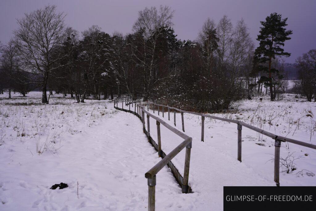 Schopflocher Moor