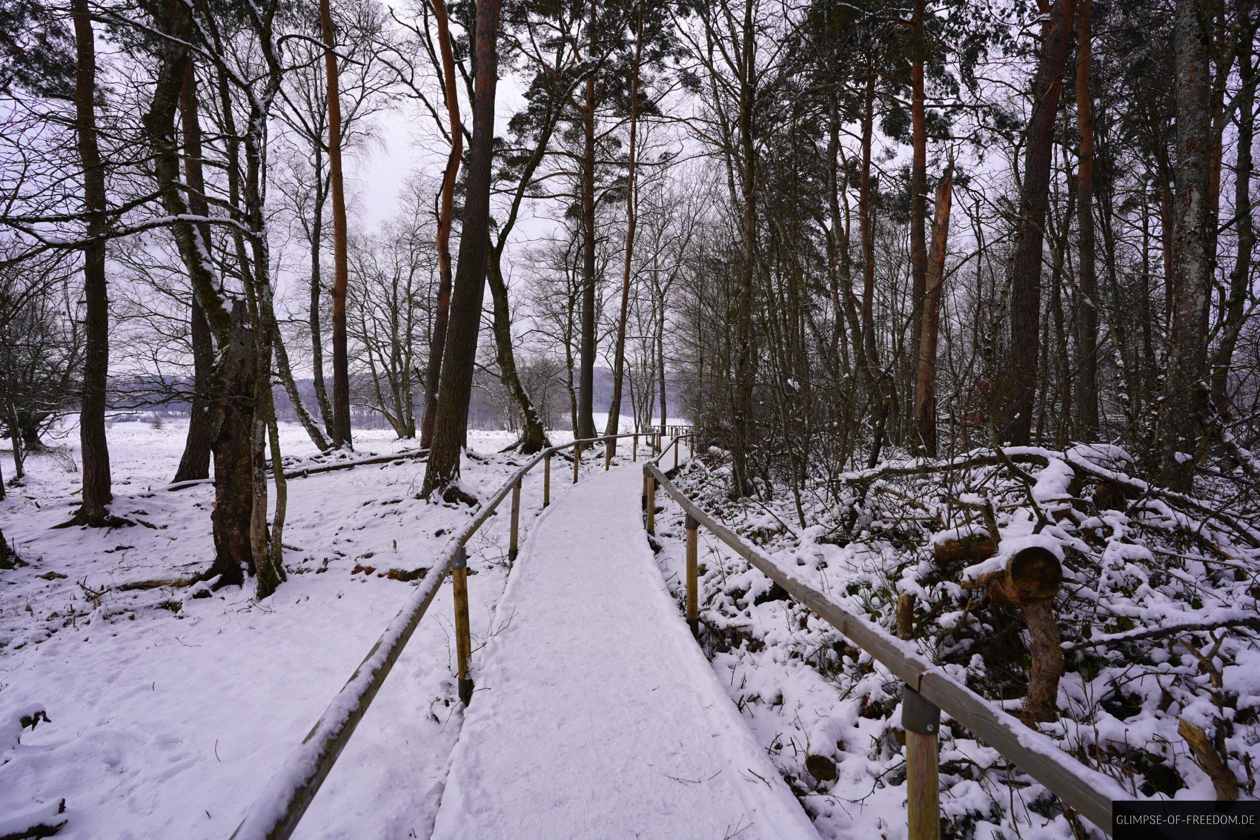 Schopflocher Moor Rundgang scaled Schopflocher Moor Rundgang