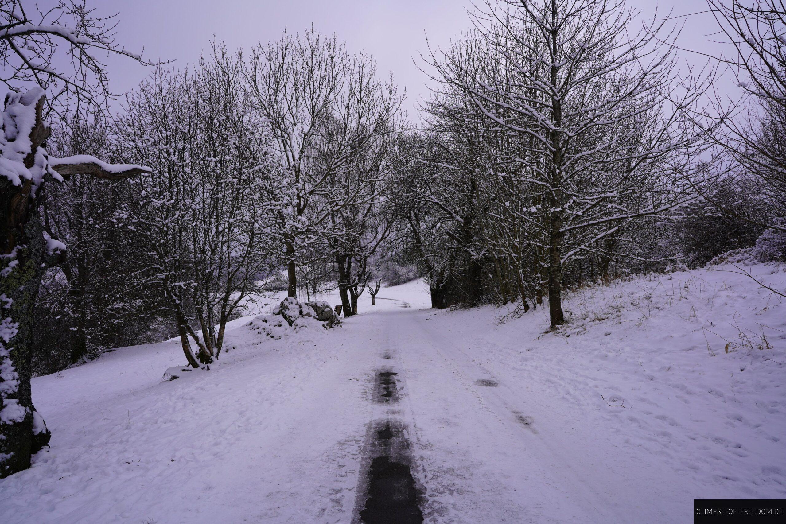 Schopflocher Moor Rundtour scaled Schopflocher Moor Rundtour