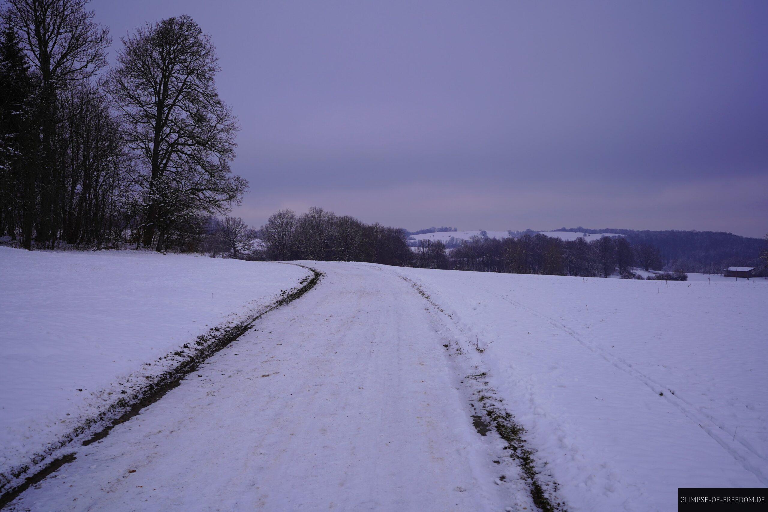 Schopflocher Moor Rundwanderung scaled Schopflocher Moor Rundwanderung