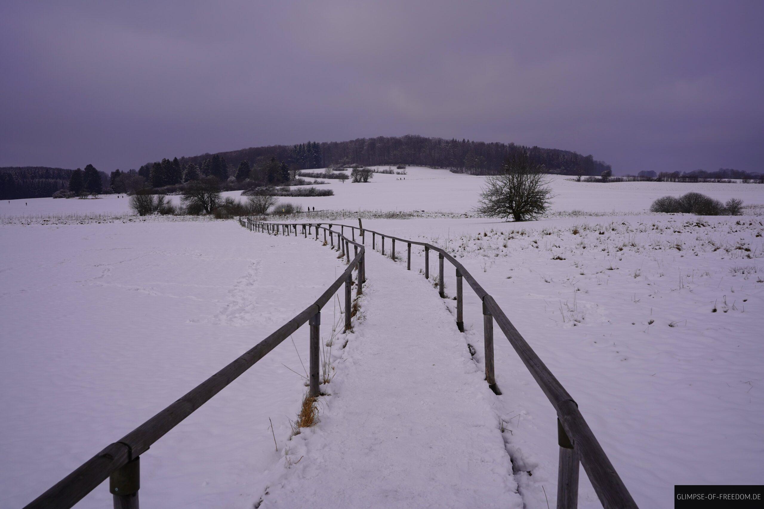 Schopflocher Moor Wanderung