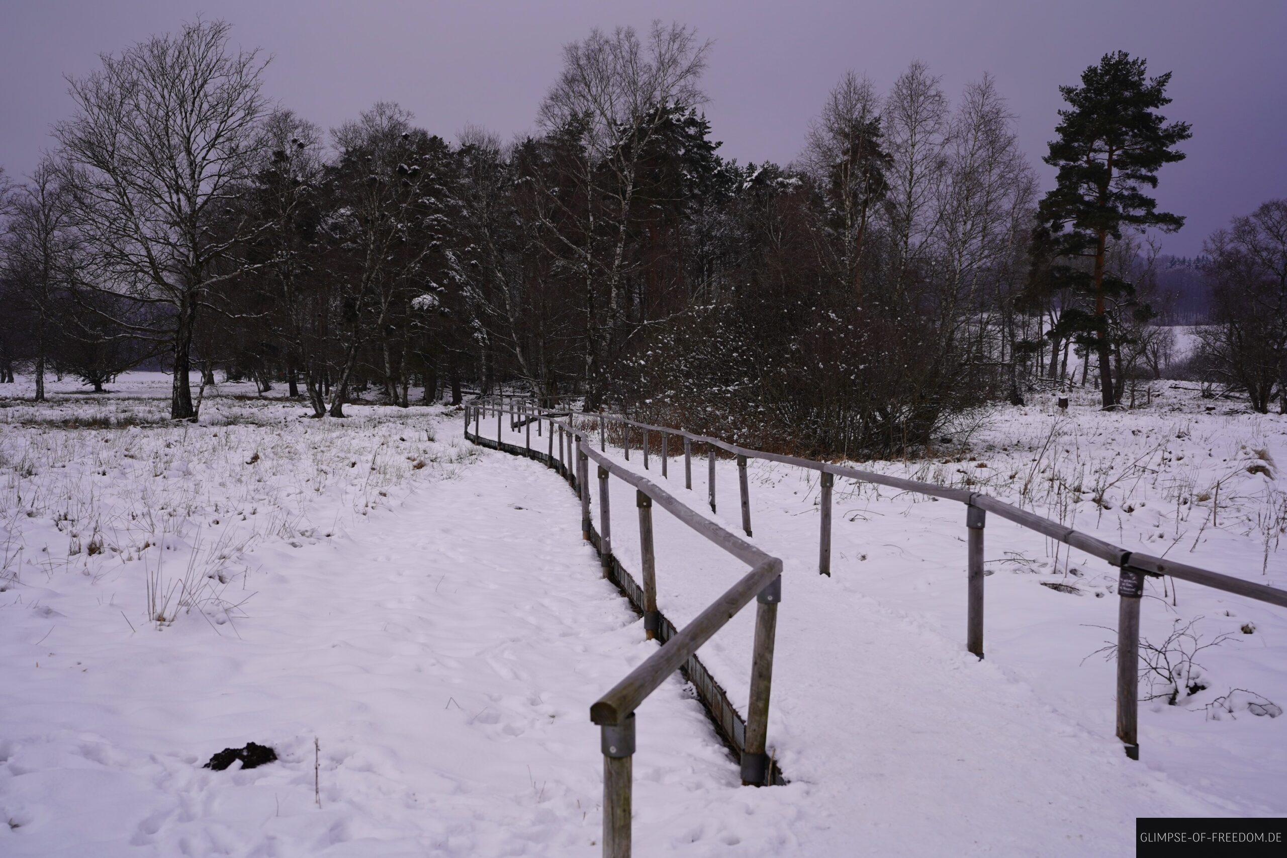 Schopflocher Moor scaled Schopflocher Moor