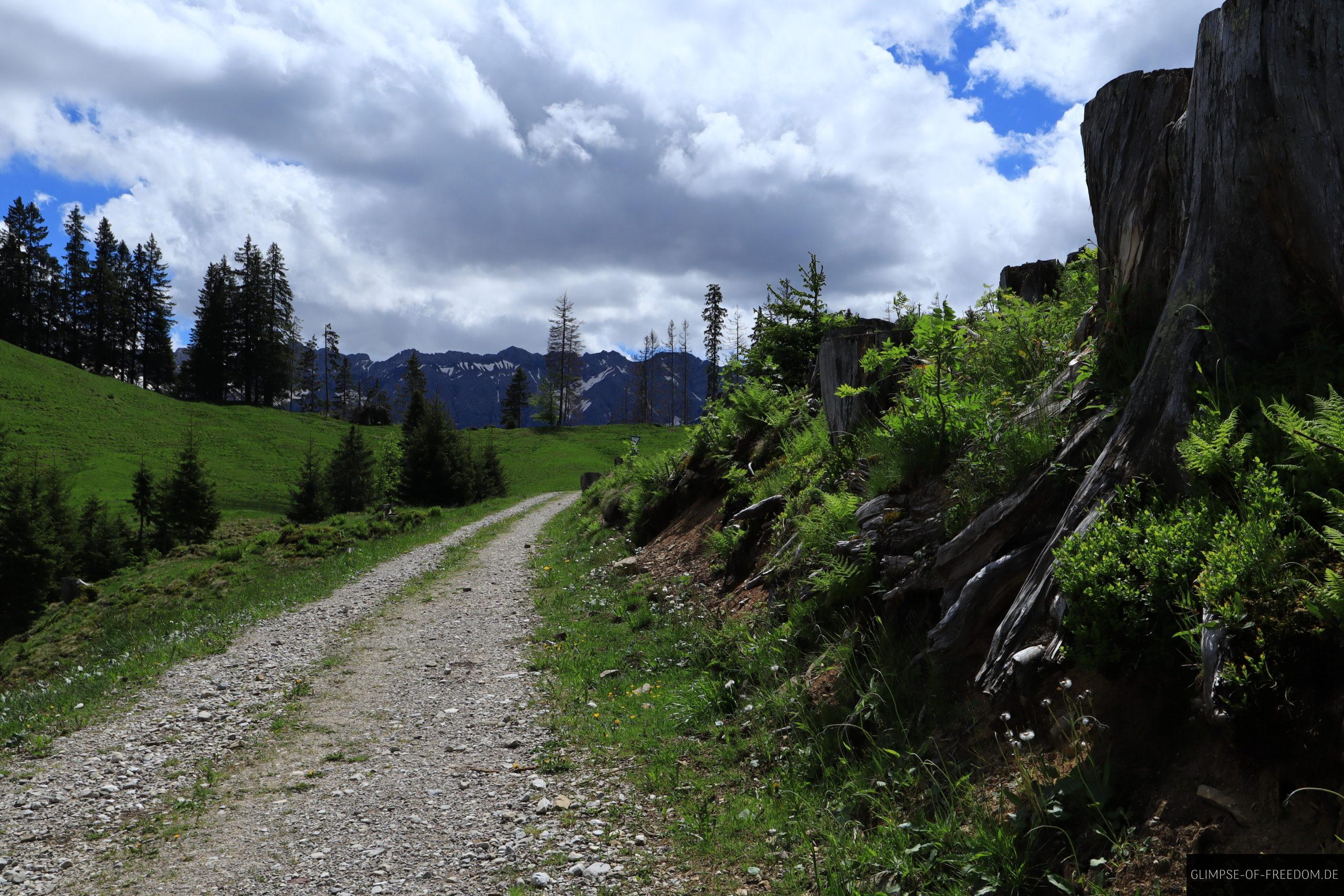 Schotterweg vor dem Huehnermoos scaled Schotterweg vor dem Hühnermoos