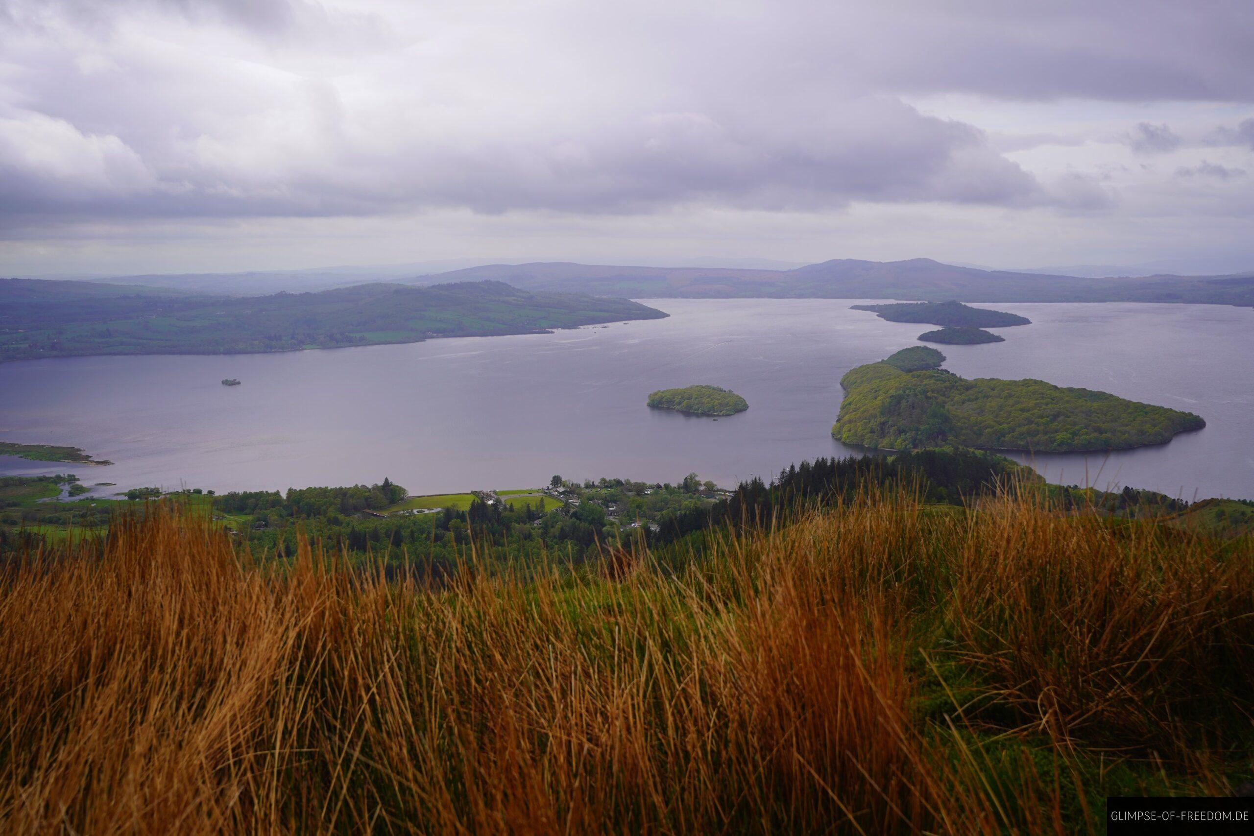 Schottische Graeser auf dem Conic Hill scaled Schottische Gräser auf dem Conic Hill