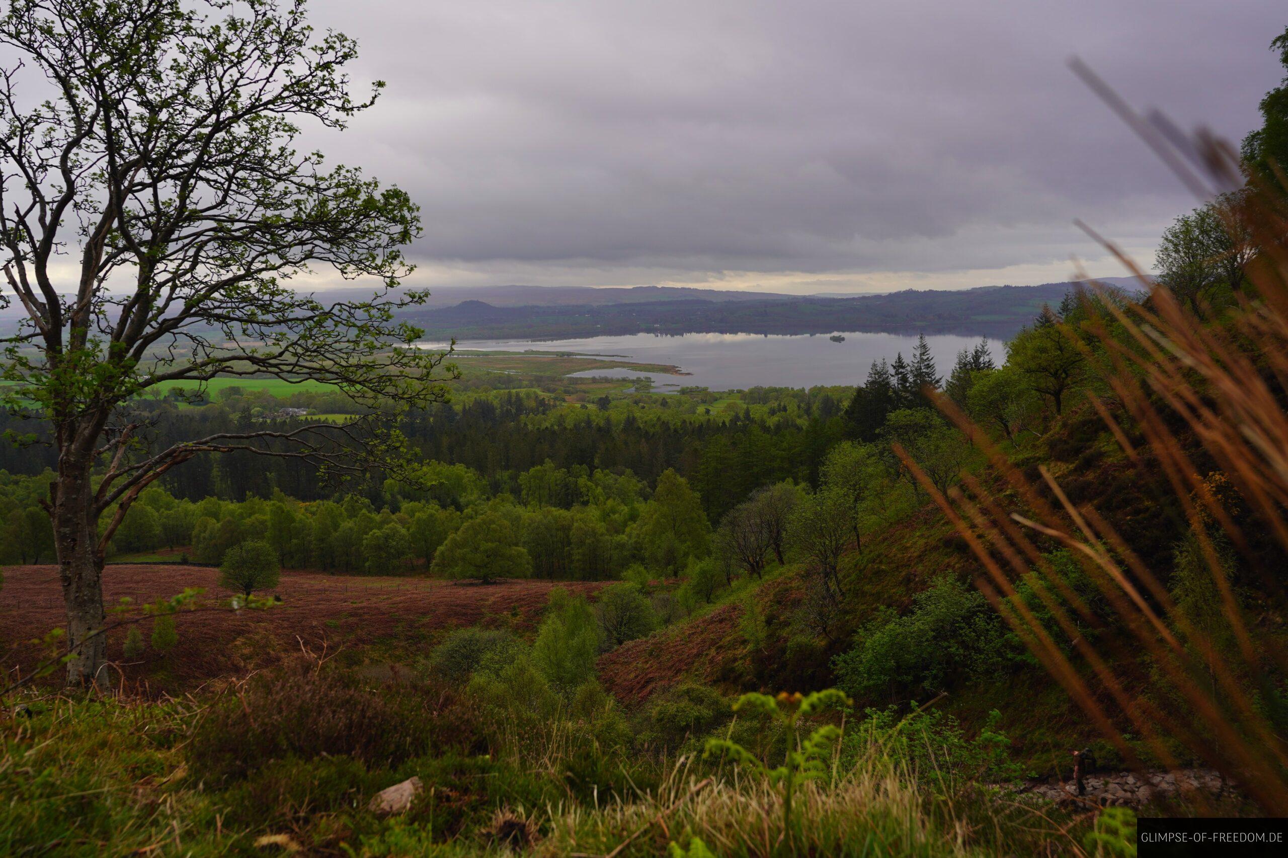 Schottische Landschaft am Loch Lomond scaled Schottische Landschaft am Loch Lomond