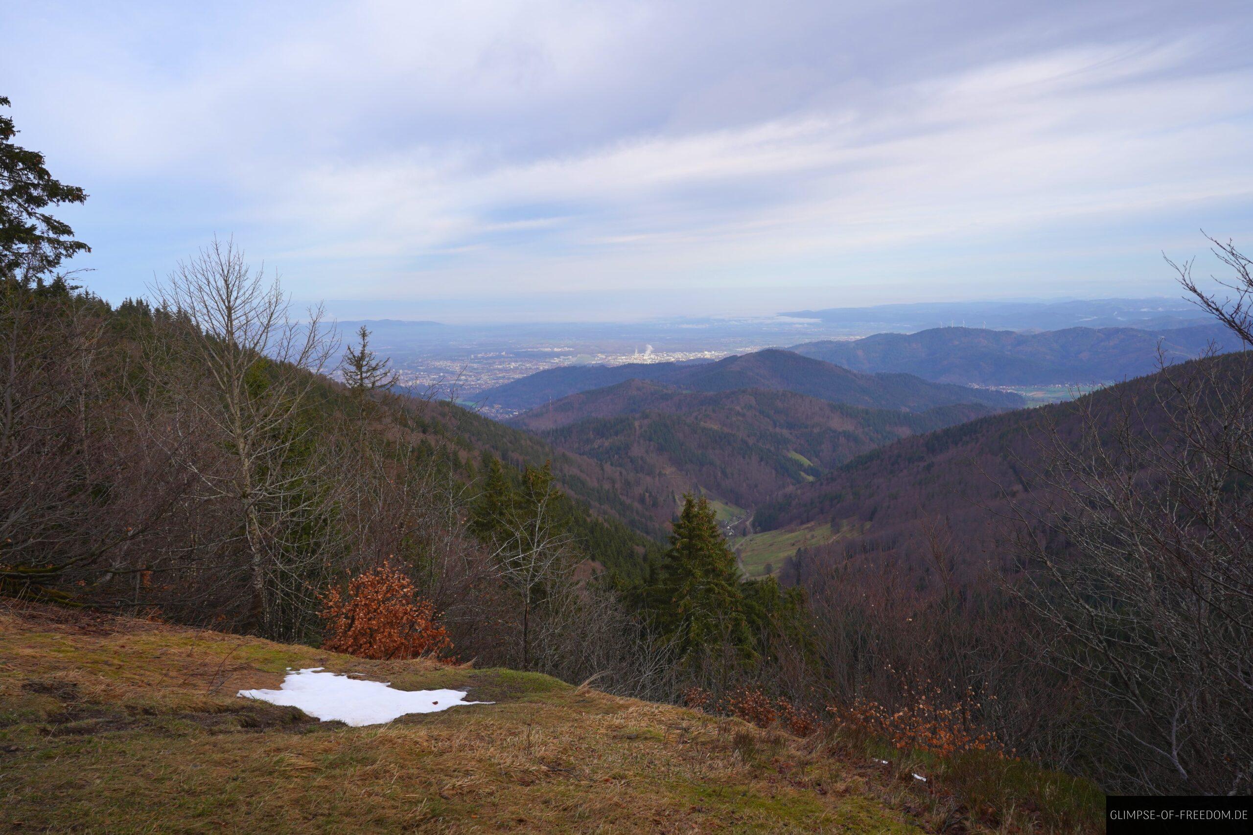 Schwarzwald Blick scaled Schwarzwald Blick