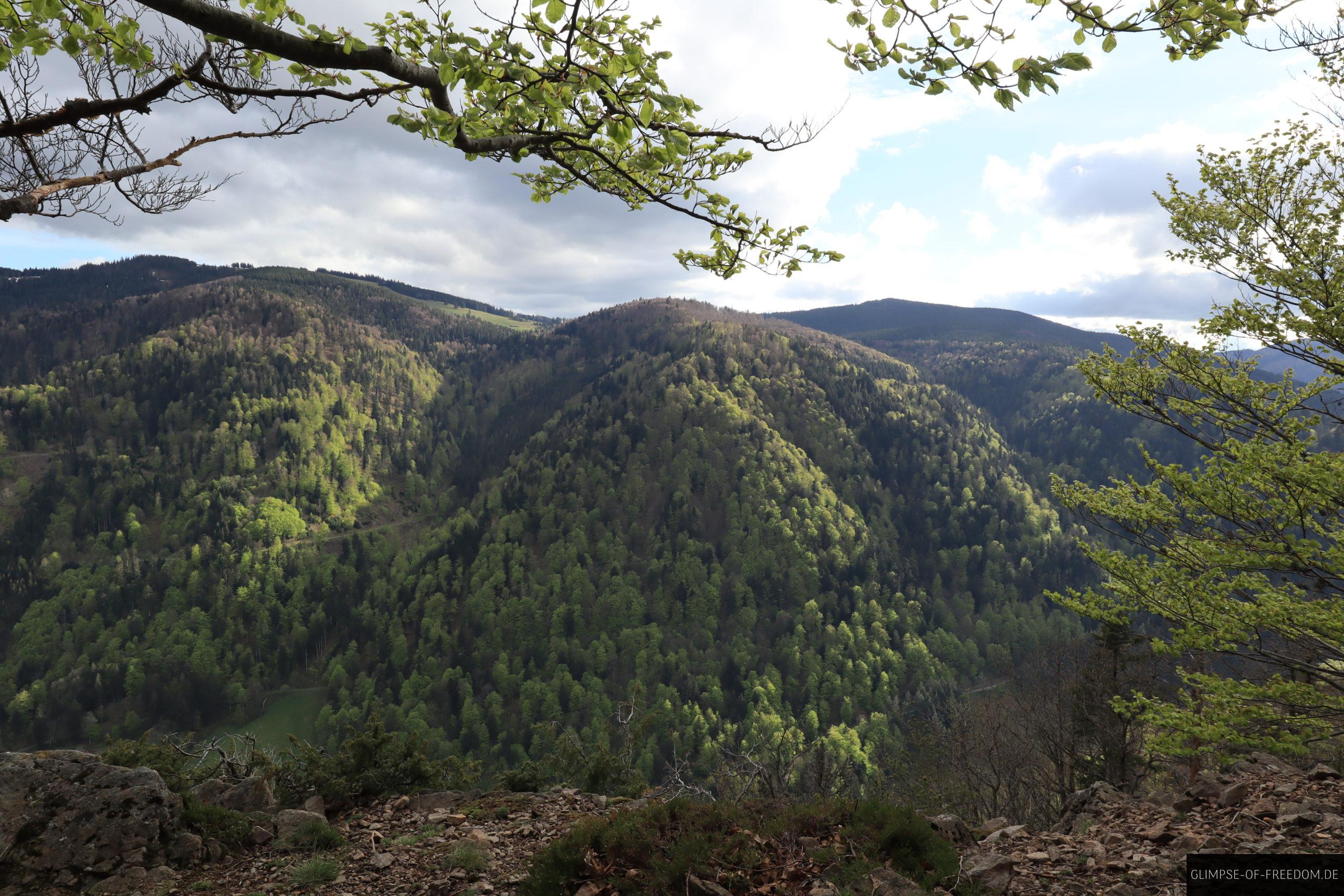 Schwarzwaldberge Hinterwaldkopf scaled Schwarzwaldberge Hinterwaldkopf